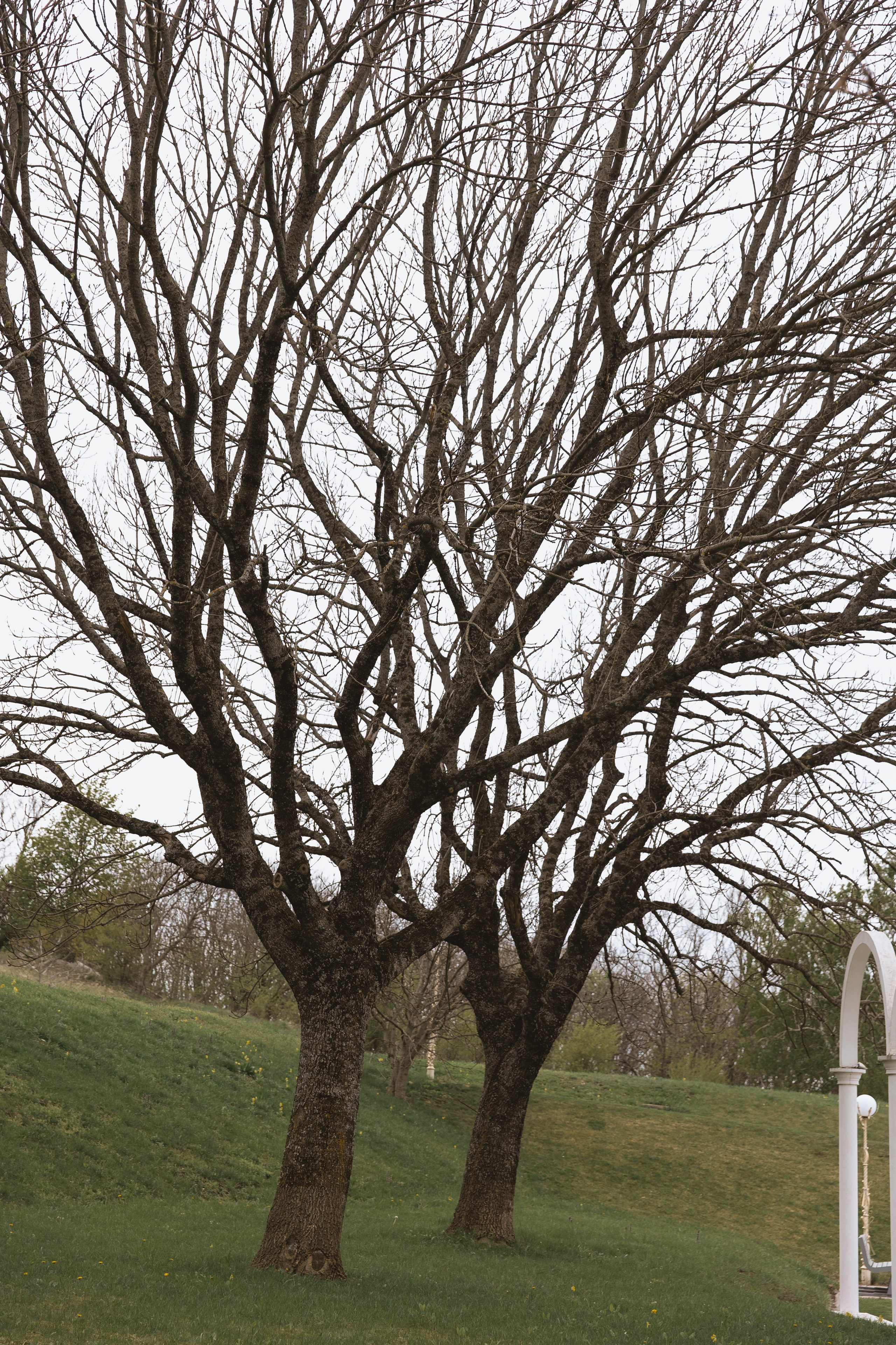 С&А. Свадебный фотограф