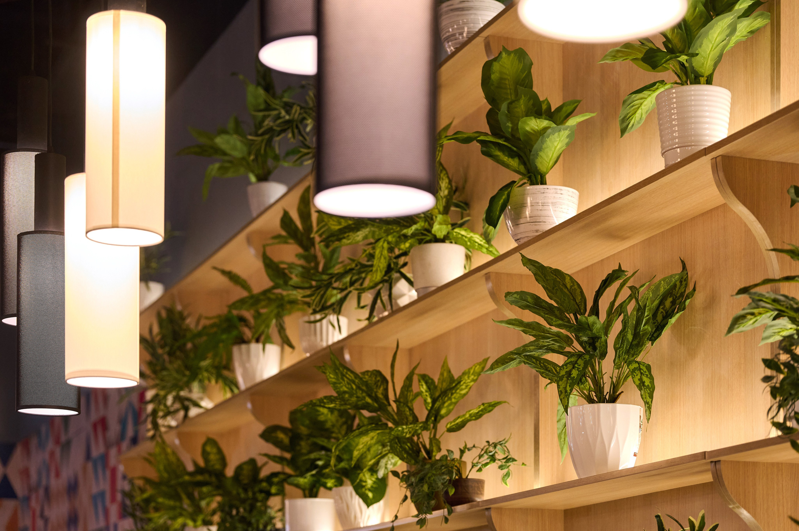 Перчини. Фотограф Опыт Качество Скорость Горный Алтай Барнаул