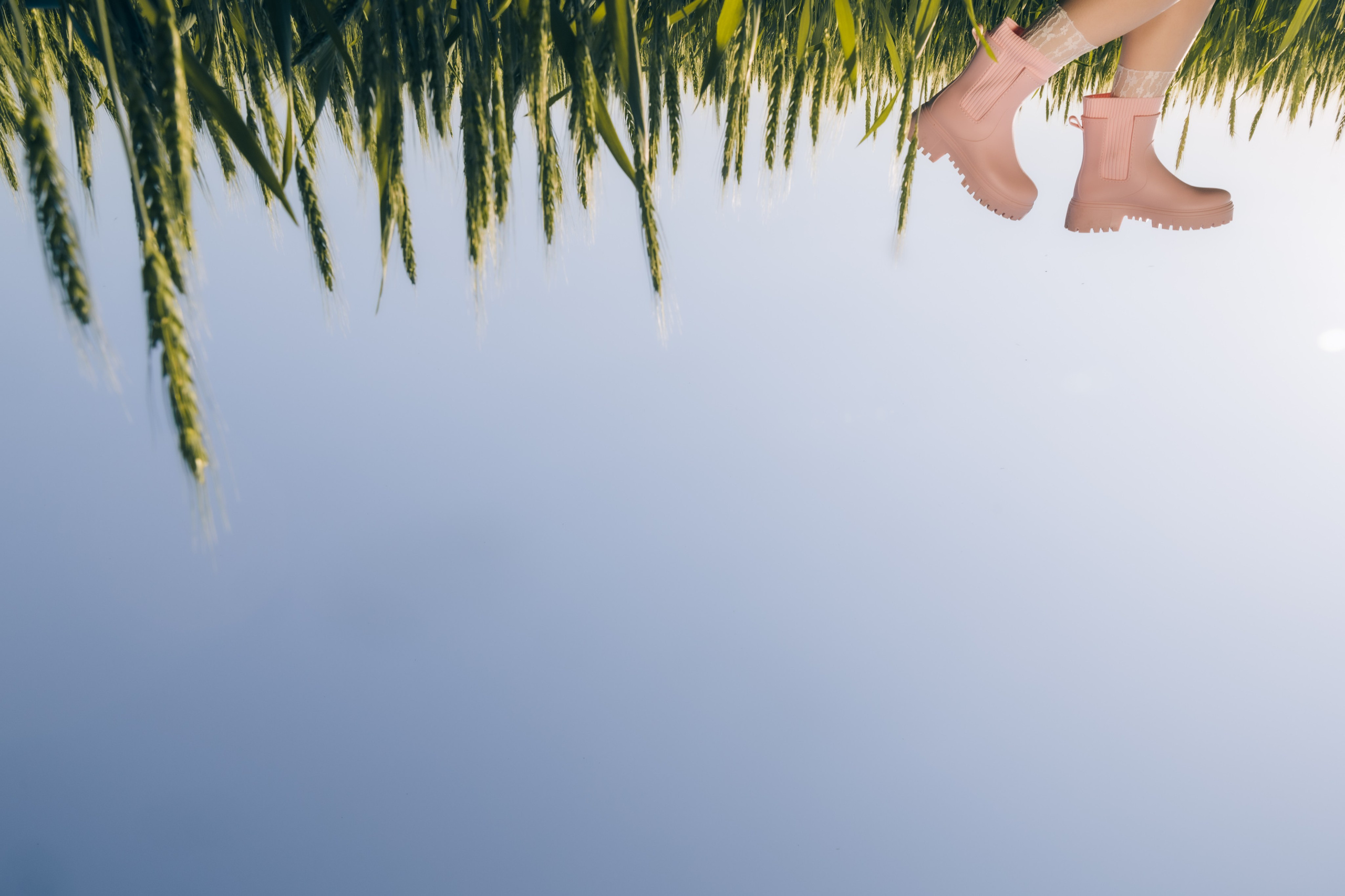 Ромашки. Свадебный фотограф Воронеж Москва СПБ