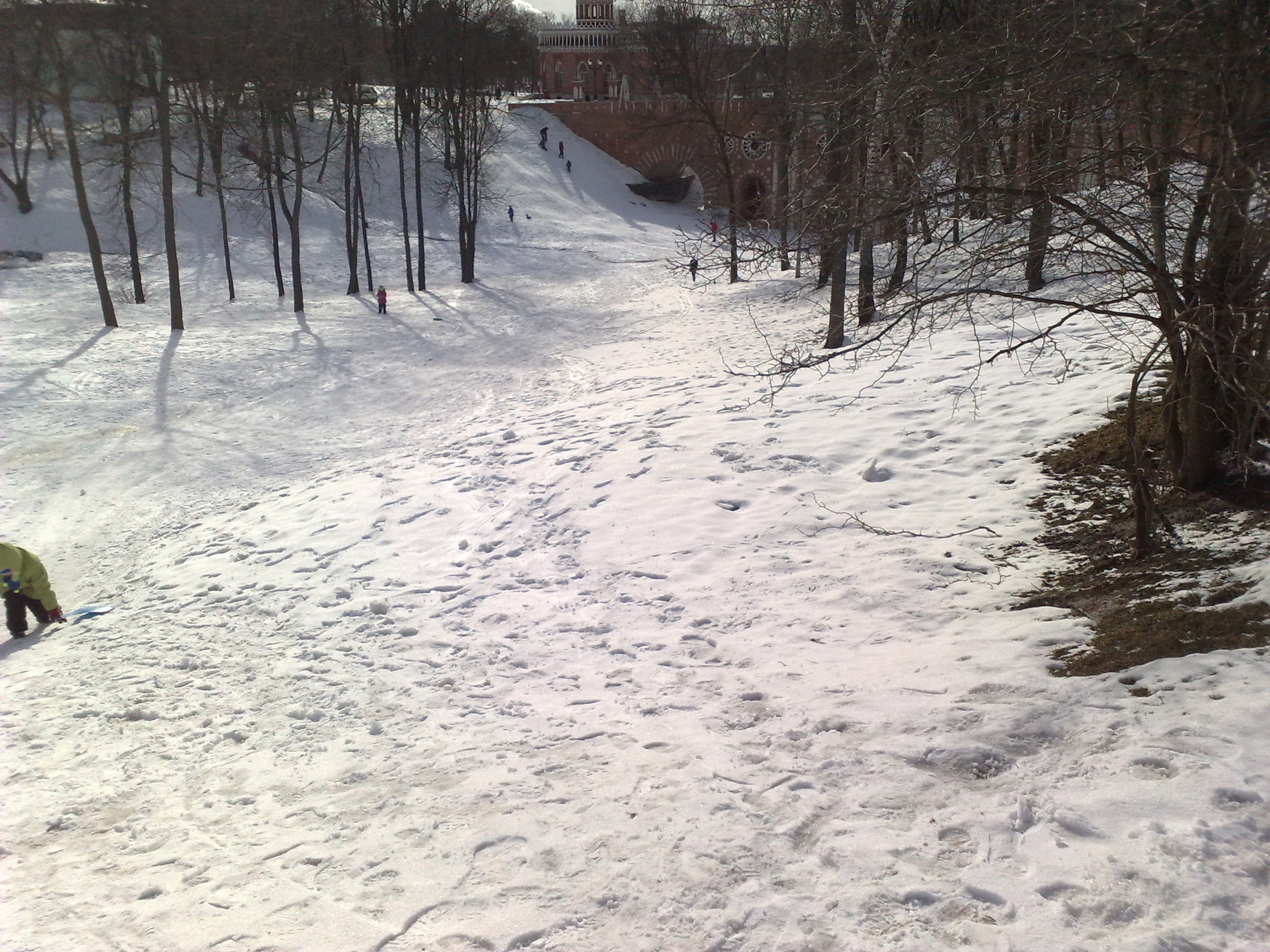 Царицино музей-усадьба. Питомник китайских хохлатых собак Poale Ell: купить щенка в питомнике