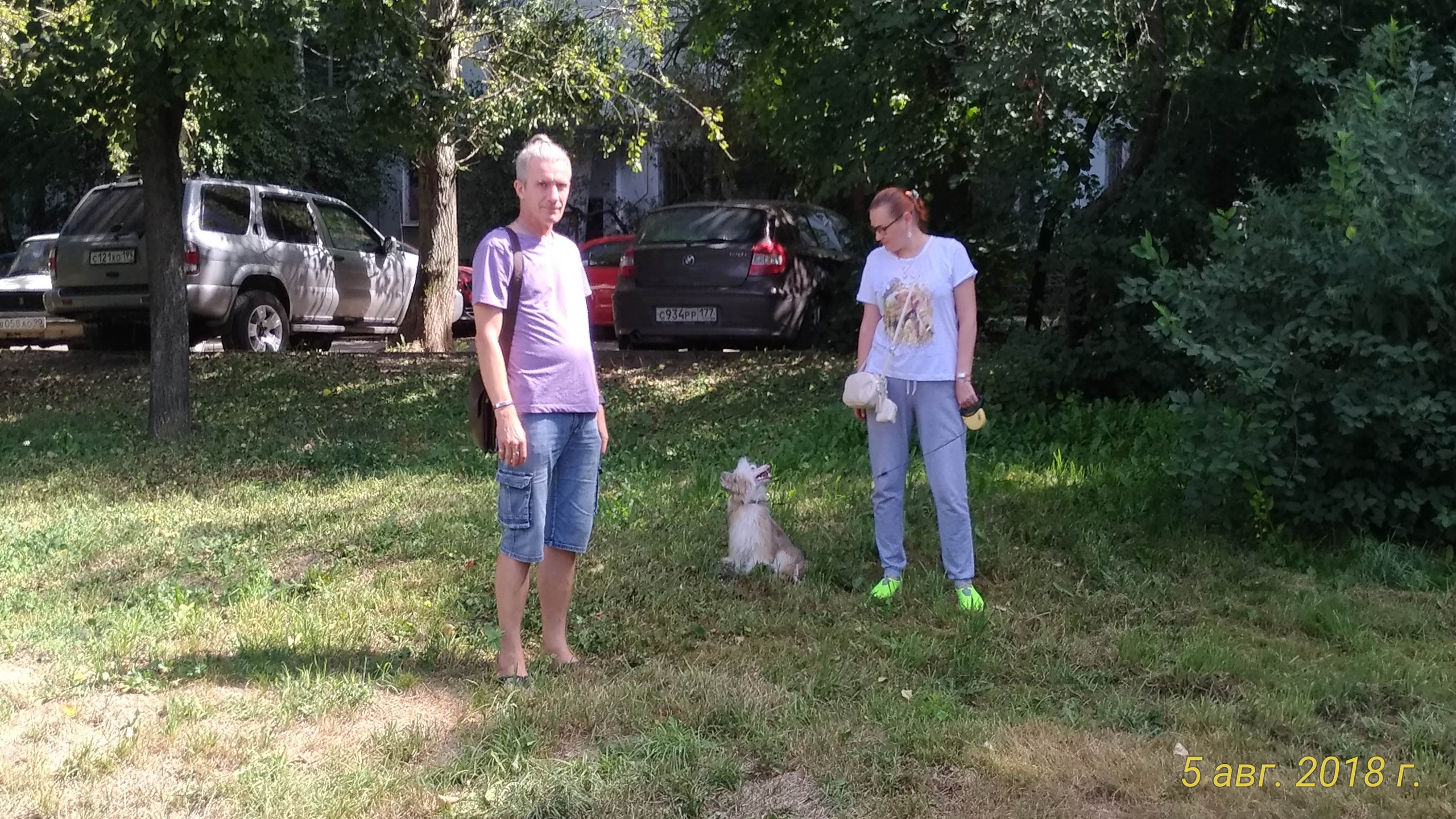 Barthelamew is leaving. Poale Ell Chinese Crested Dog Kennel: Buy a puppy from the kennel