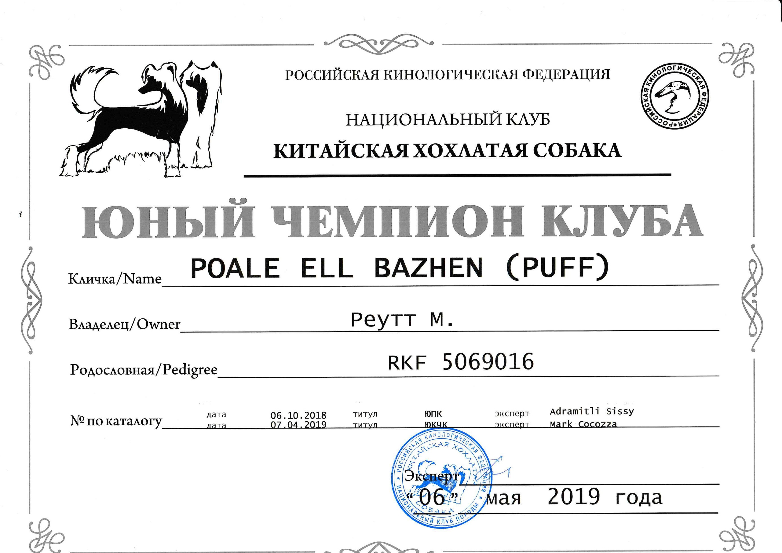 Poale Ell Bazhen. Chinese Crested Dog Kennel Poale Ell