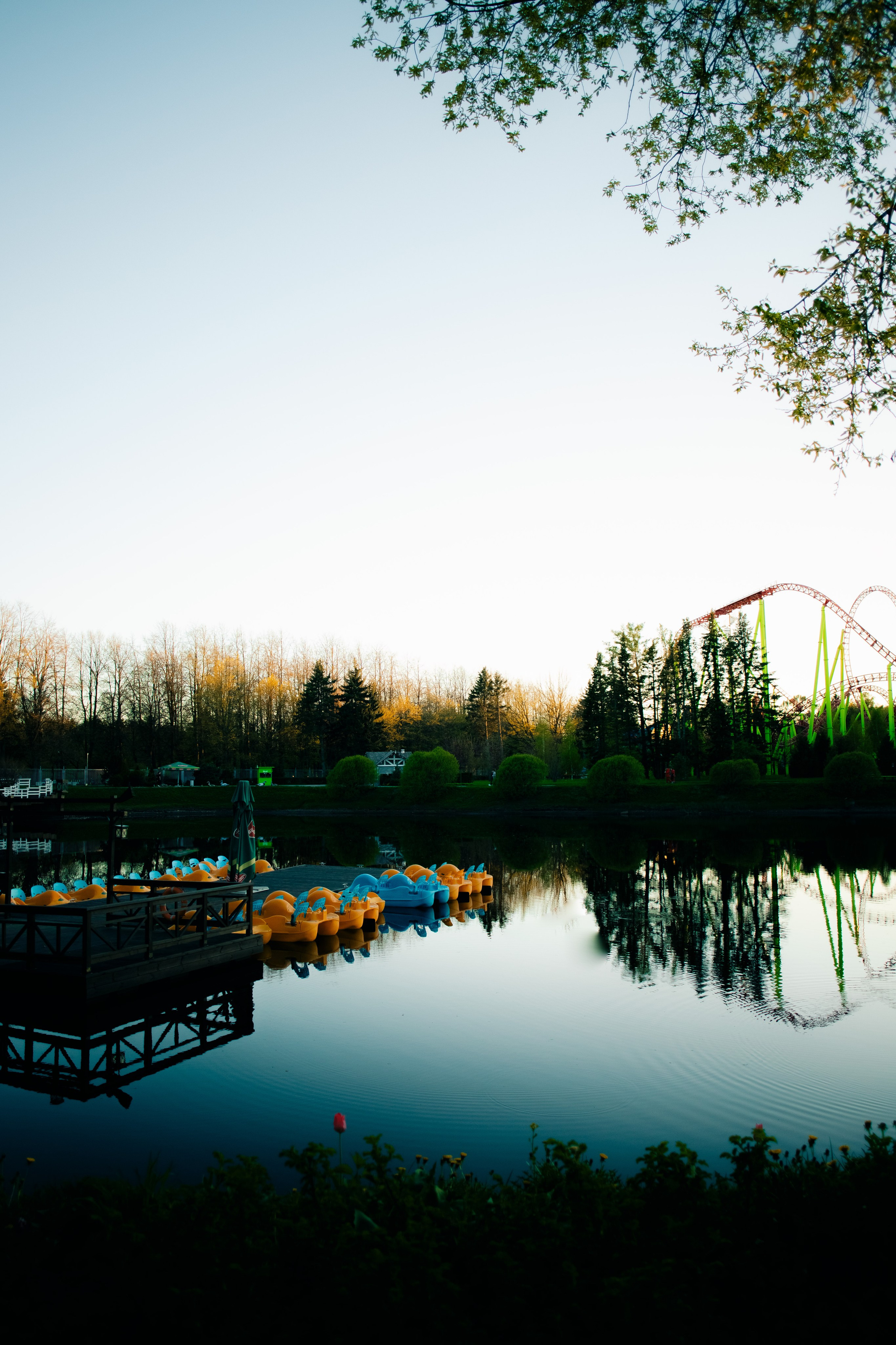 LIFE BLOG. PASHAHARCE PHOTOGRAPHER & VIDEOGRAPHER