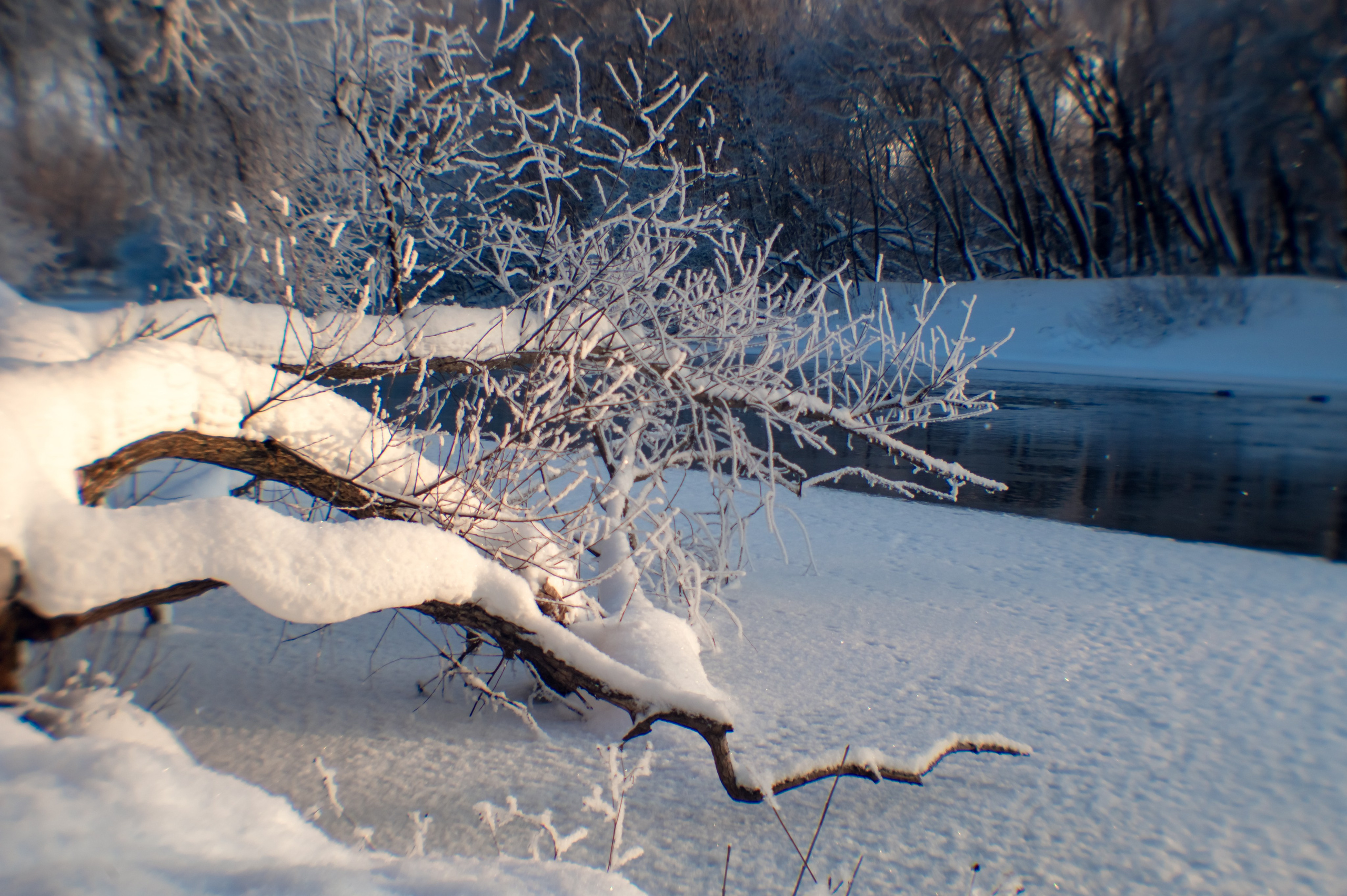 Зимушка зима. Фотограф Крещение Венчание Москва
