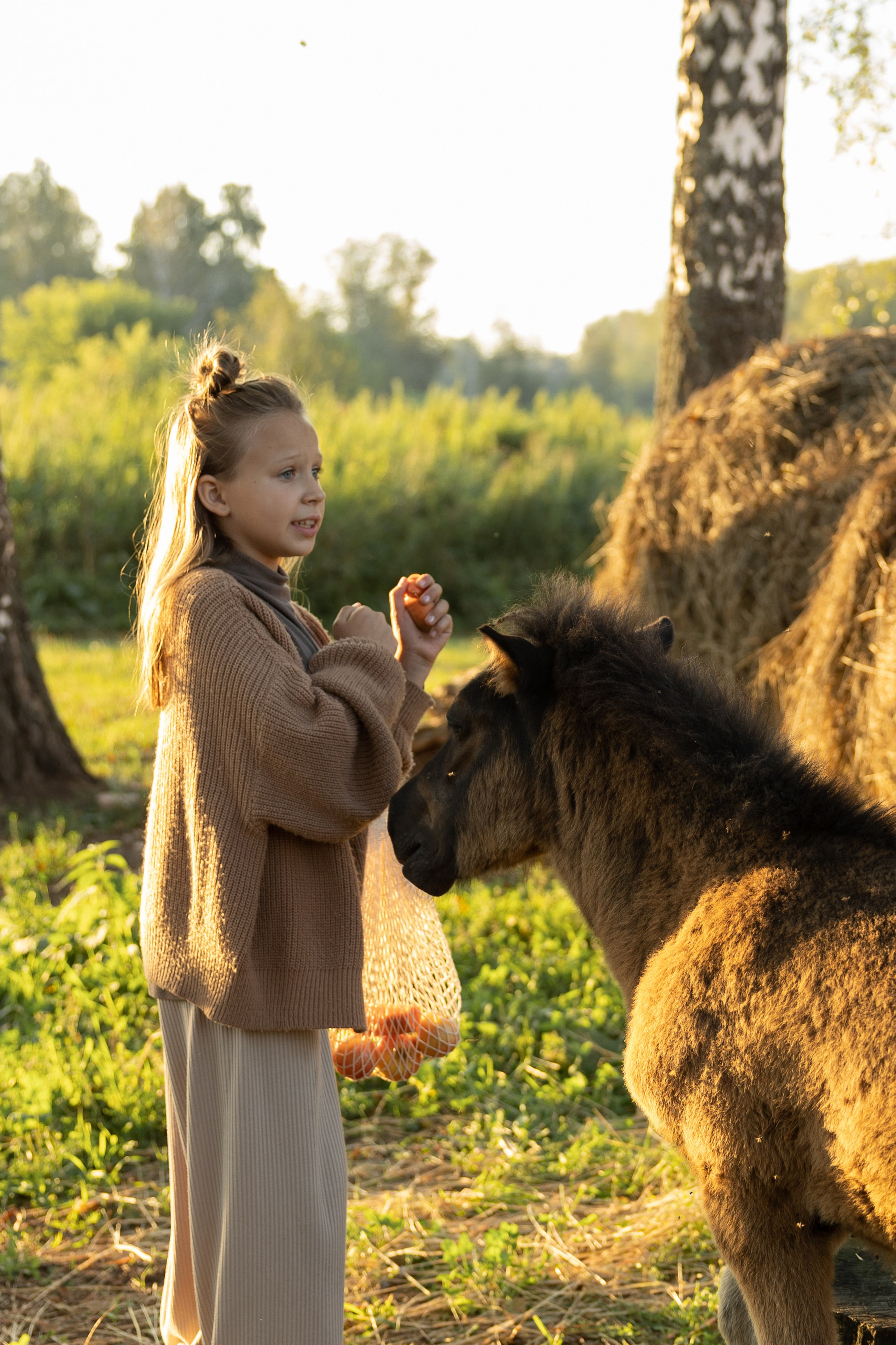 Прогулка на конюшне. Семейный и женский фотограф, стильный репортаж в г. Новосибирск