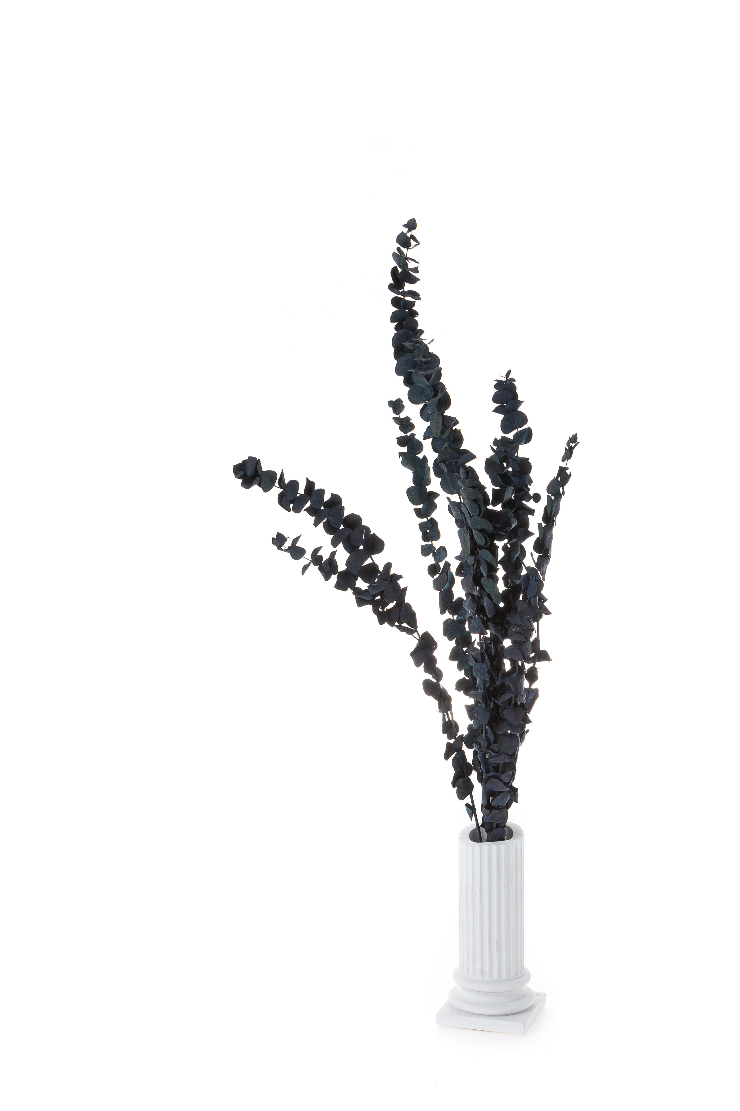 Преметный фотограф. Репортажный и портретный фотограф в Москве Саханцева Анна