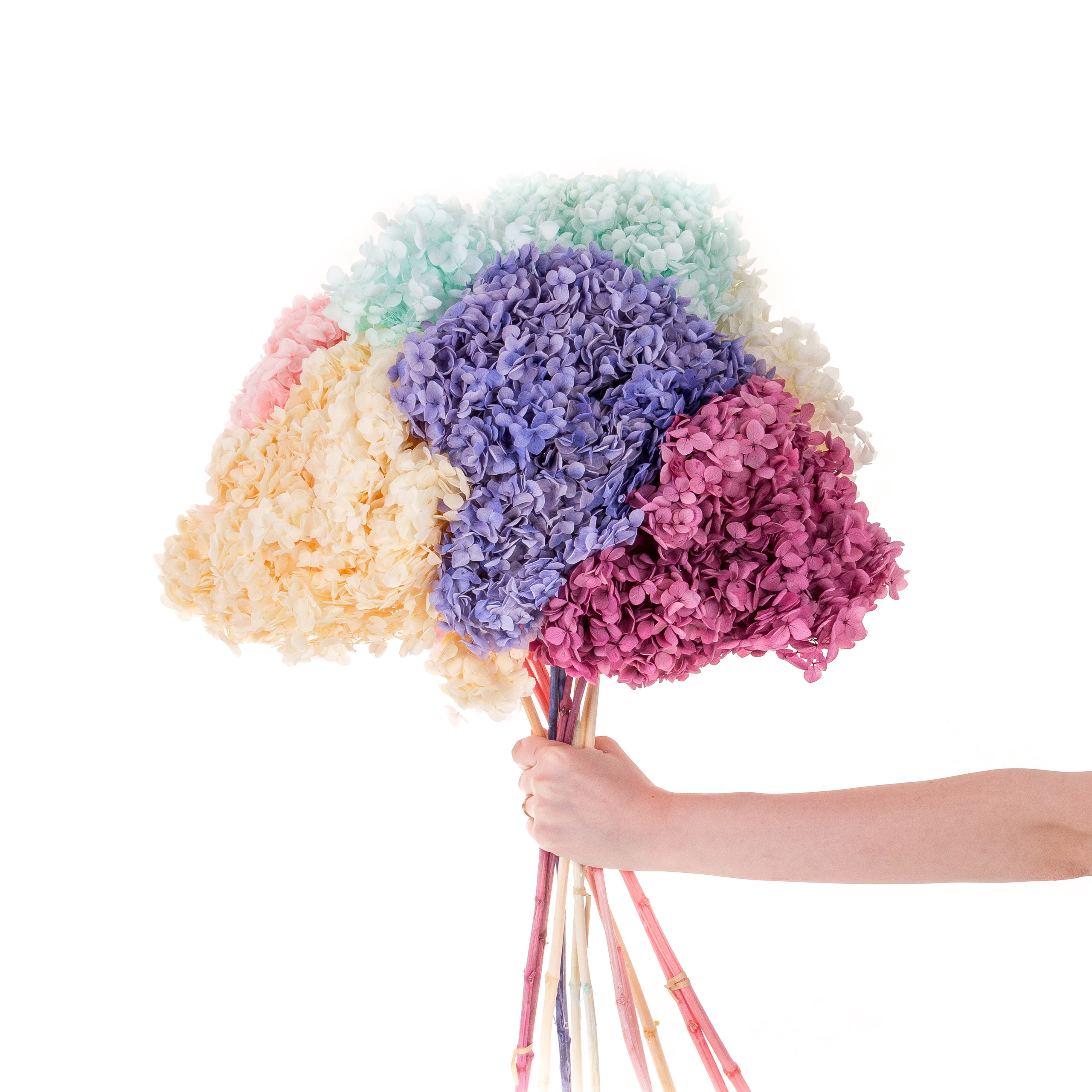 Преметный фотограф. Репортажный и портретный фотограф в Москве Саханцева Анна