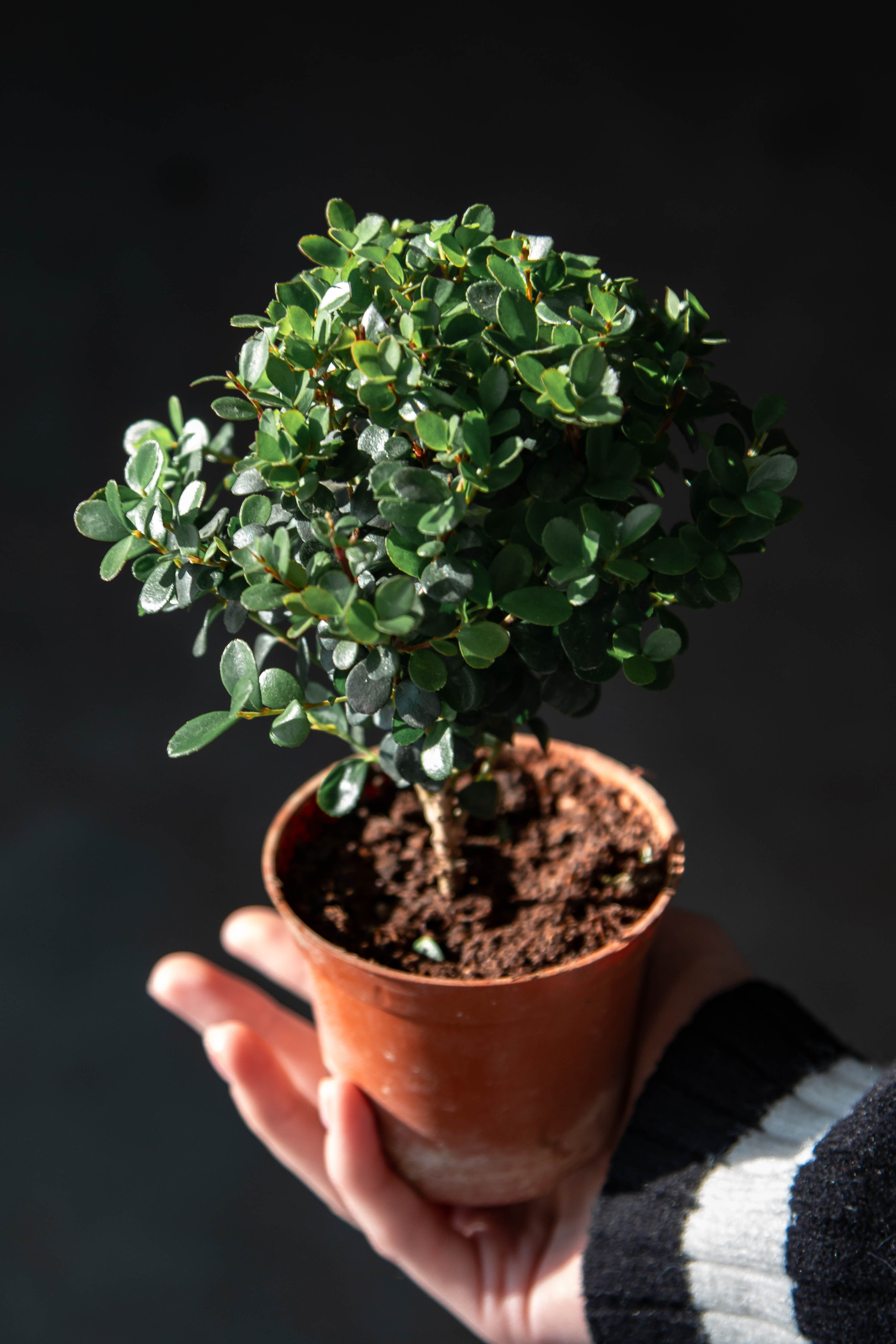 Преметный фотограф. Репортажный и портретный фотограф в Москве Саханцева Анна
