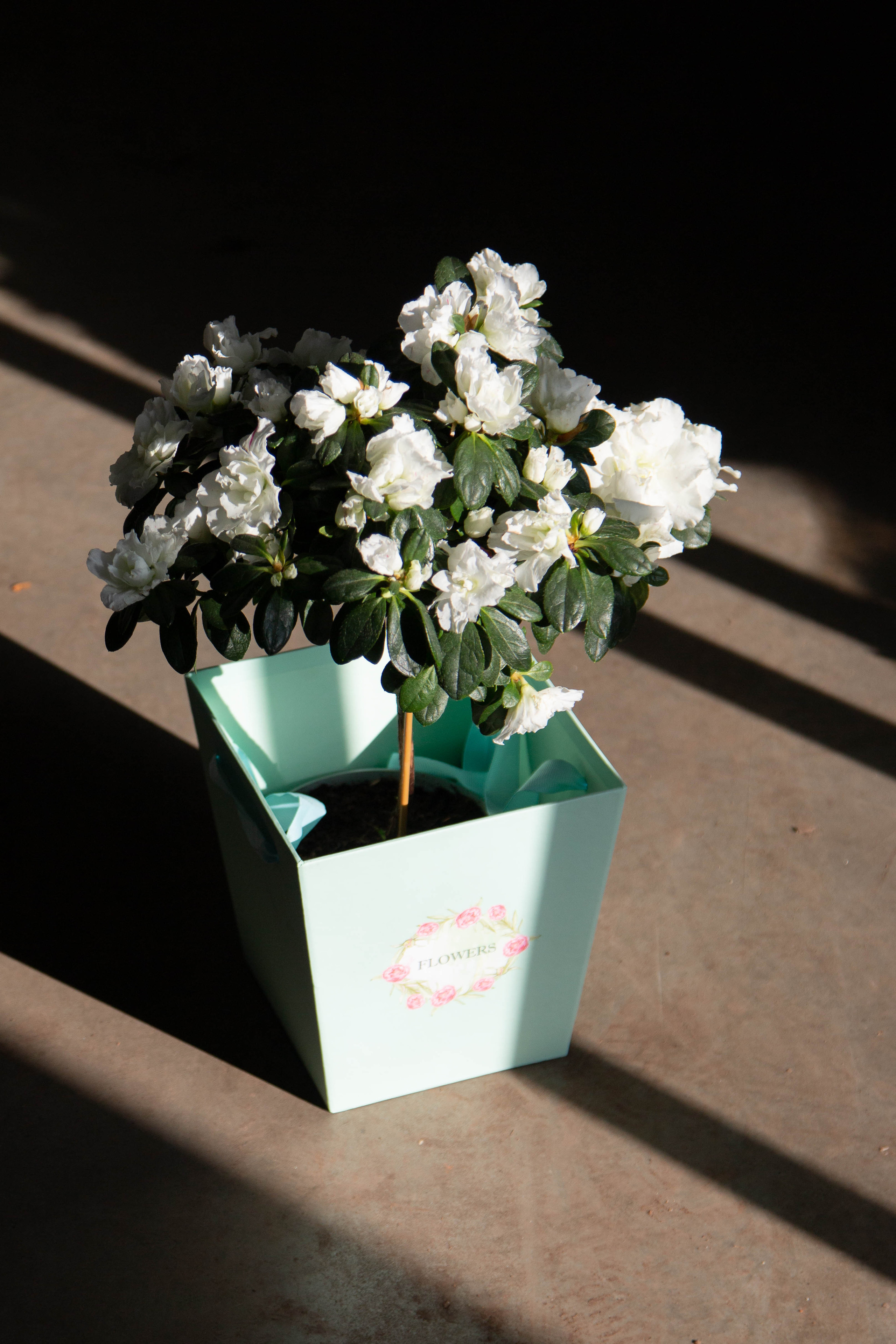 Преметный фотограф. Репортажный и портретный фотограф в Москве Саханцева Анна