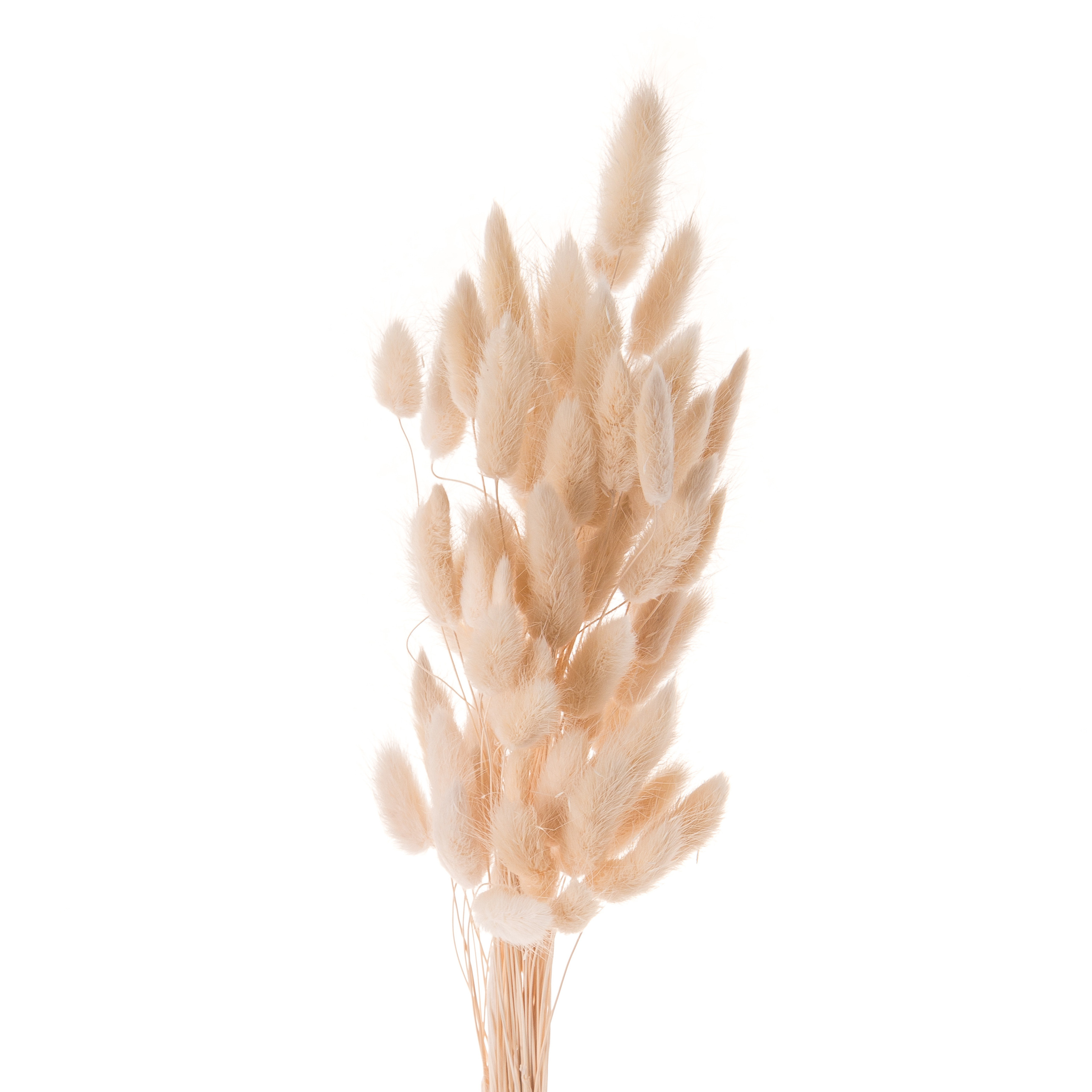 Преметный фотограф. Репортажный и портретный фотограф в Москве Саханцева Анна