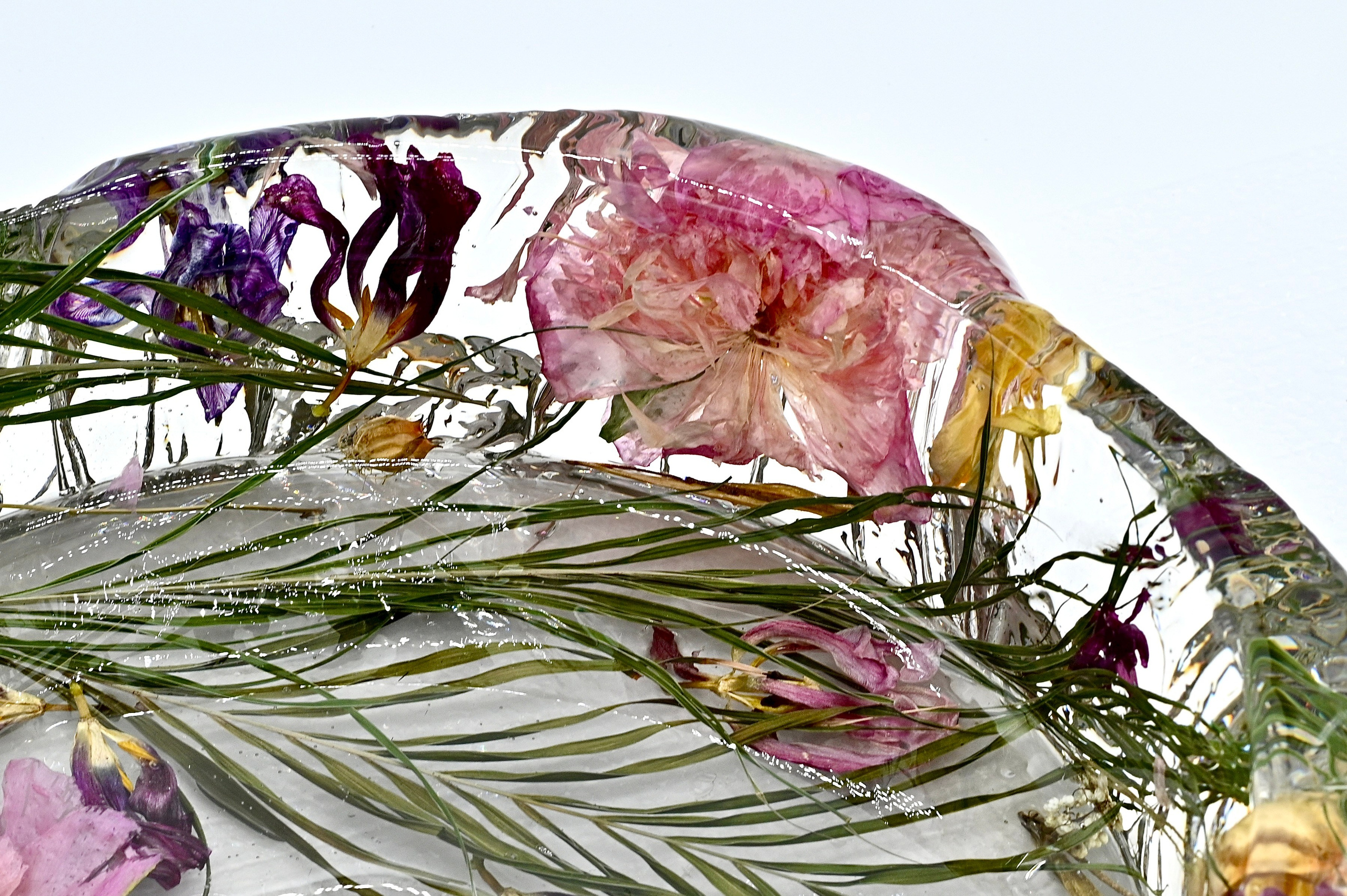 Раковины. Розалия Арт — Rozaliya Art