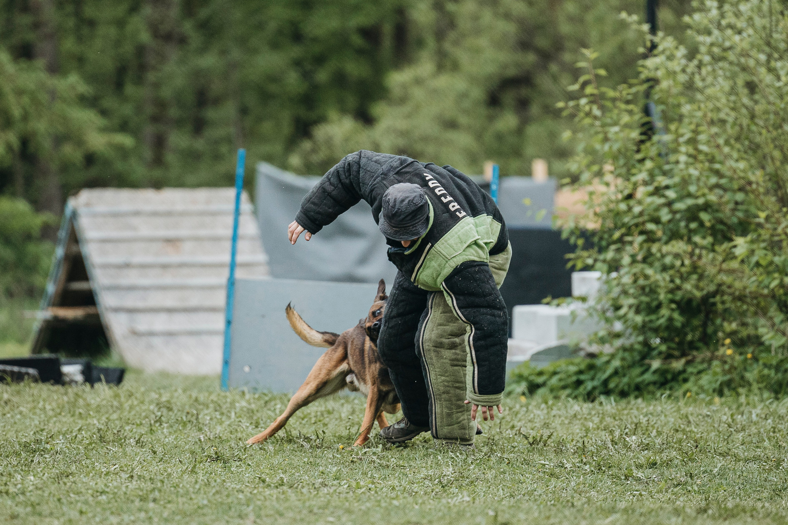 26.05.25 г. Пушкин квалификационные соревнования. Фотограф-анималист Анна Маринич