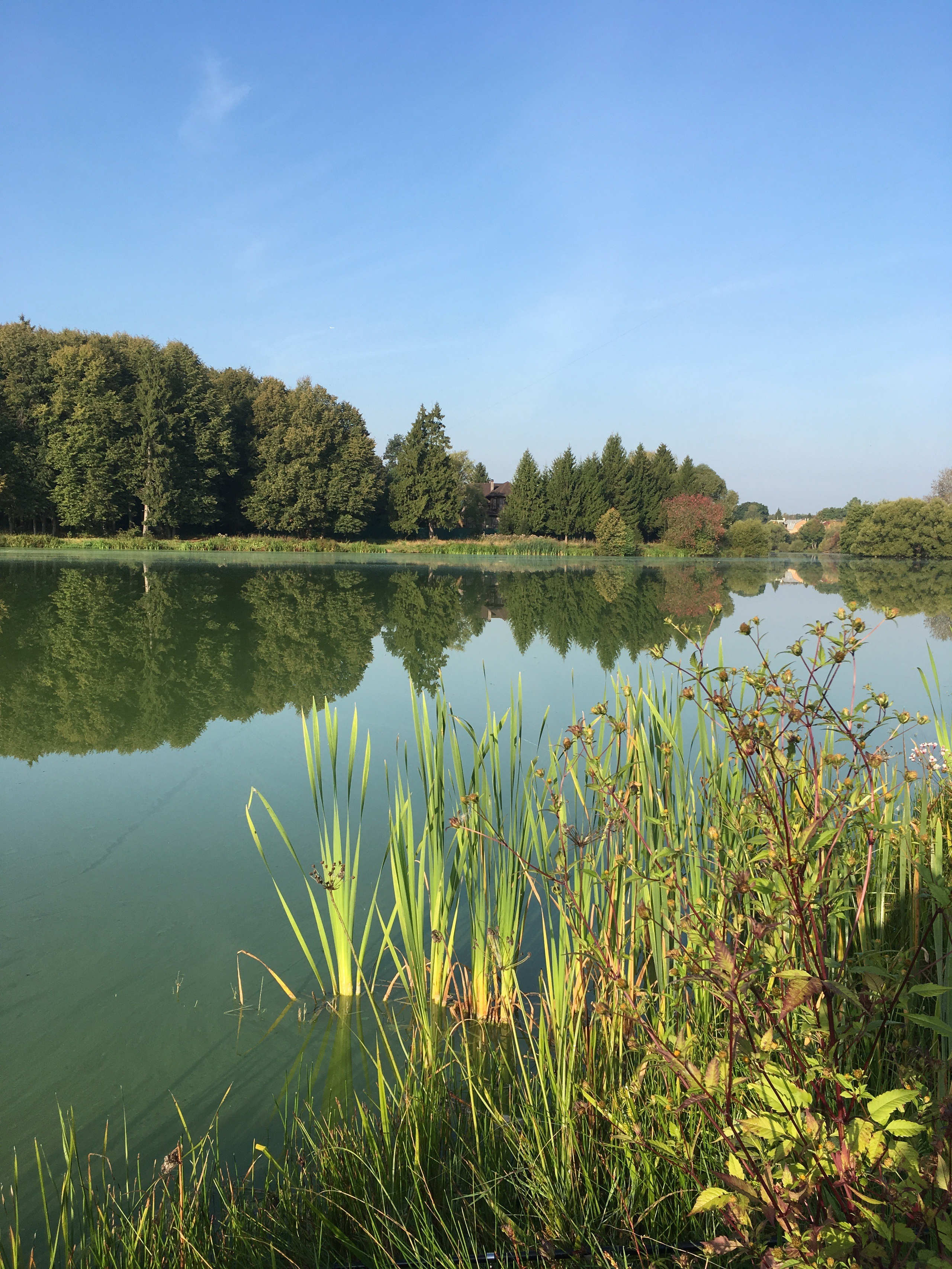 Молоди-19. Своя Мастерская