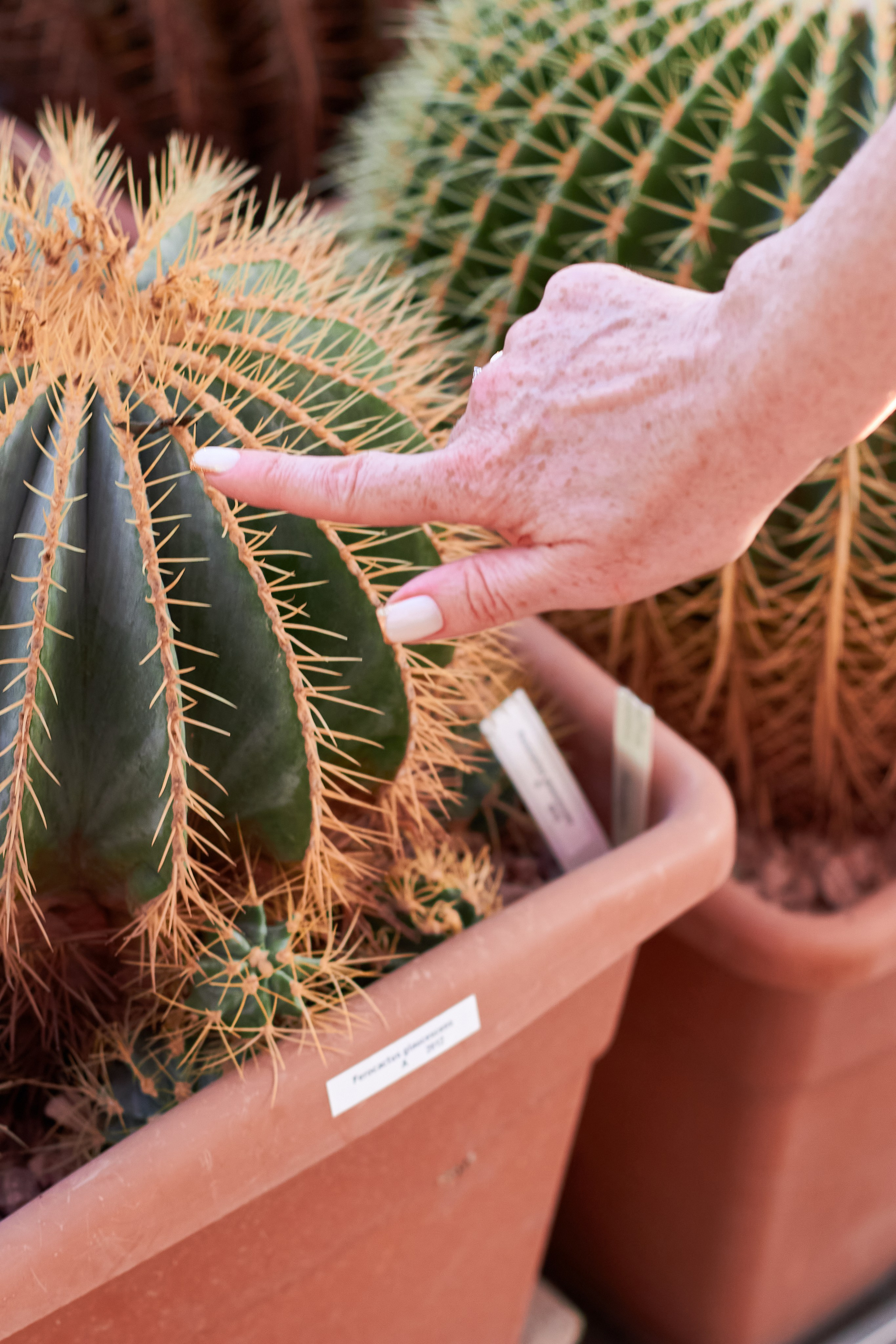 Ирина (Москва). Делла Т. — Женский и семейный фотограф в Липецке