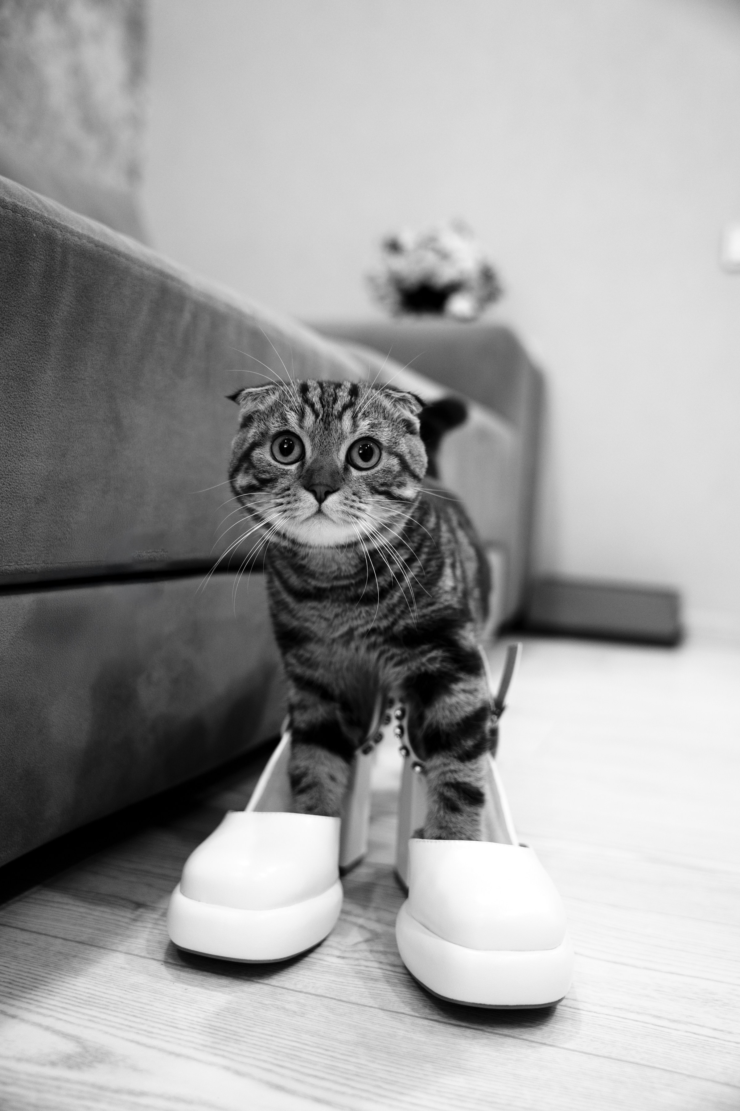 Карина и Алексей. Ольга Плаксина фотограф в Саратове