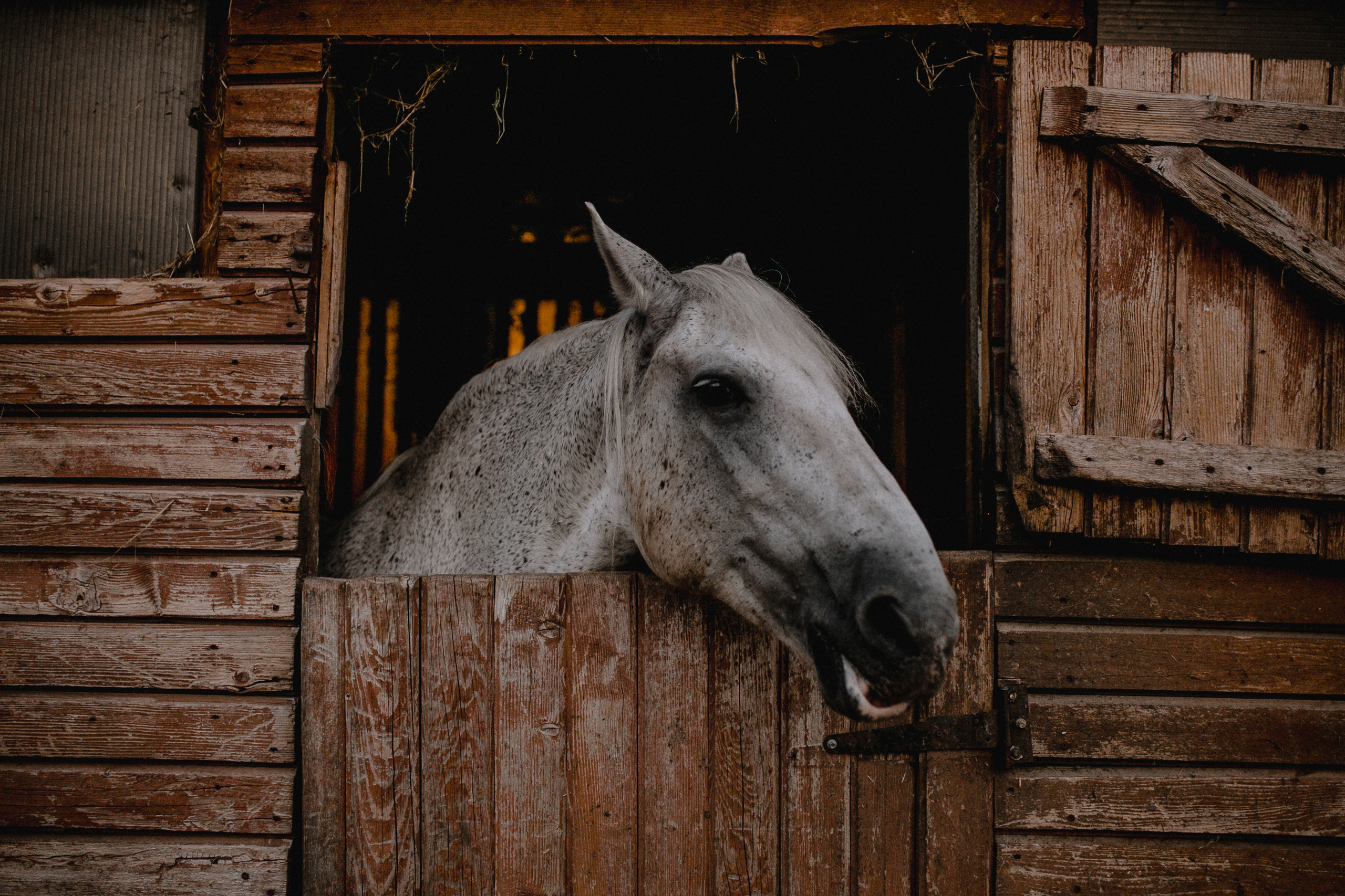 Свадьба для двоих Alexey&Anna. Свадебный /Семейный фотограф в Краснодарском крае Лилия Комар