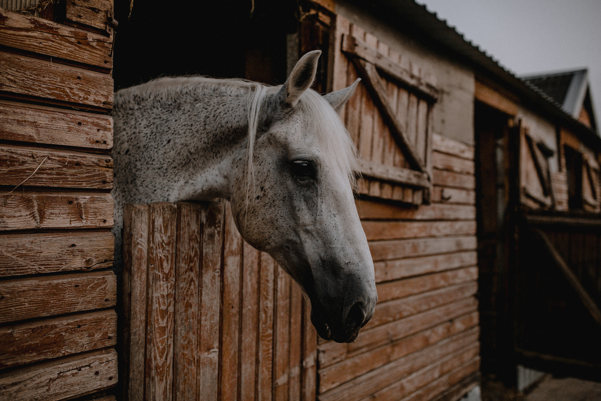 Свадьба для двоих Alexey&Anna. Свадебный /Семейный фотограф в Краснодарском крае Лилия Комар