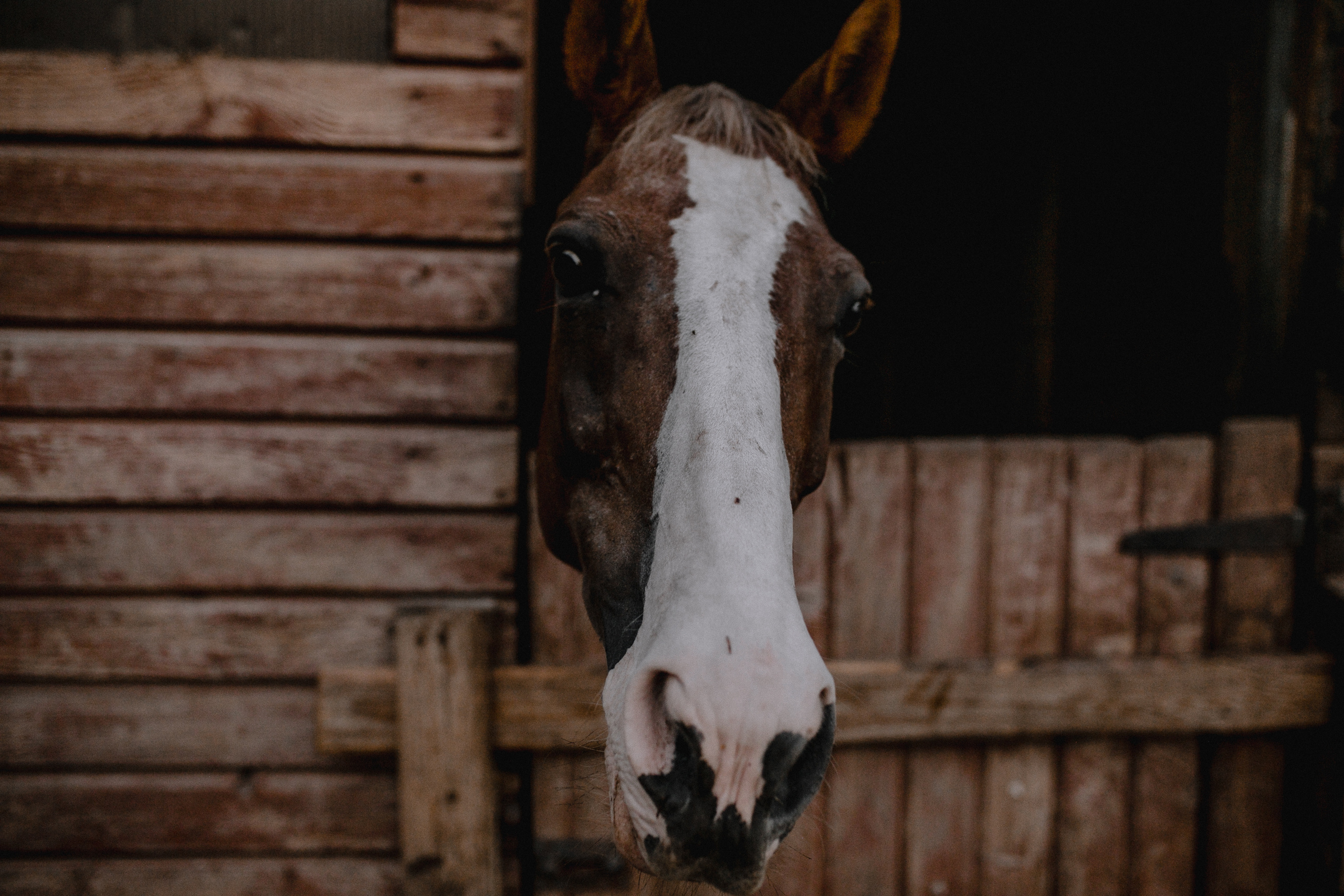 Свадьба для двоих Alexey&Anna. Свадебный /Семейный фотограф в Краснодарском крае Лилия Комар