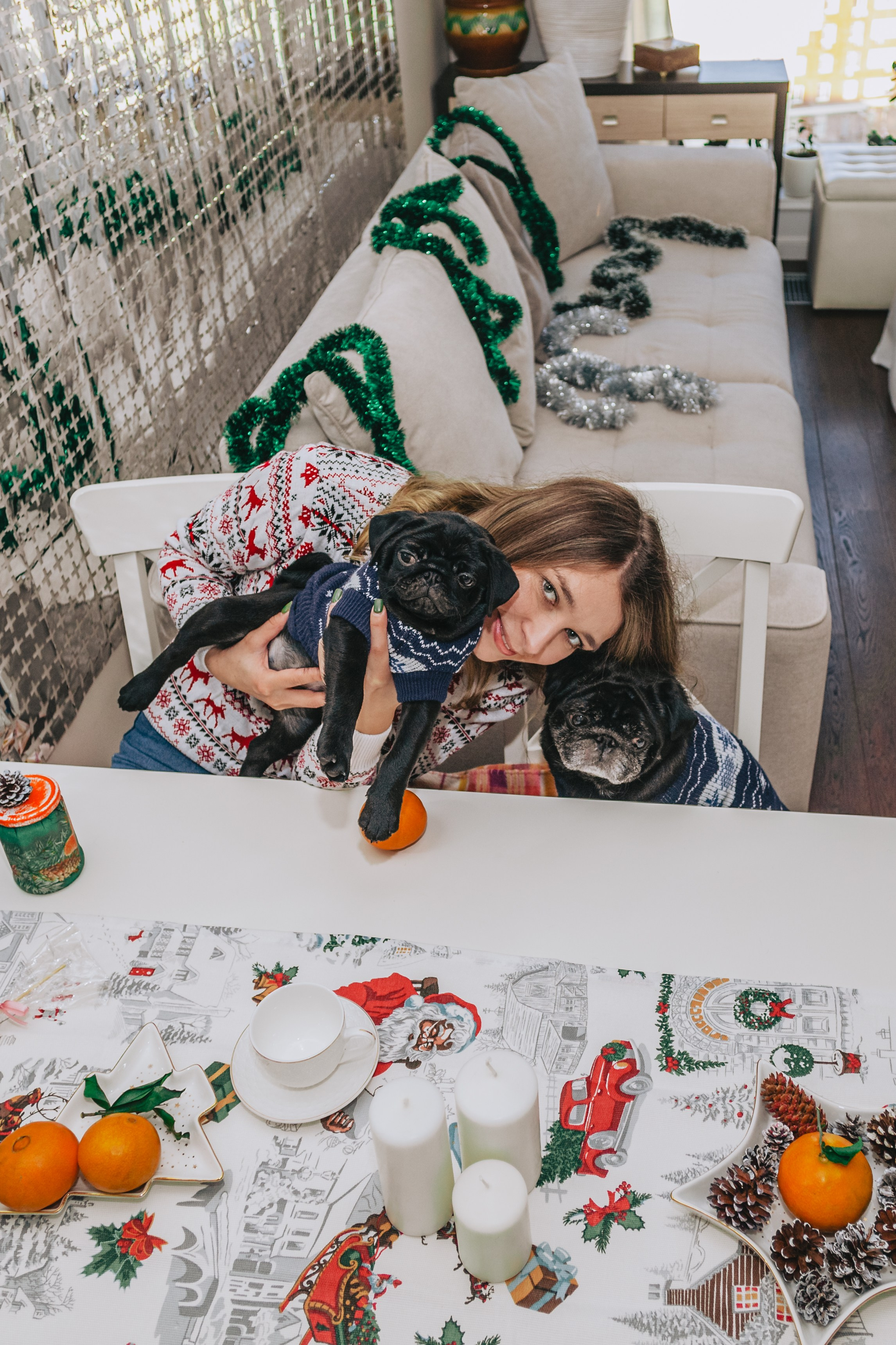 Домашняя фотосессия Оли и двух ее мопсов. Фотограф-анималист Татьяна Степанова