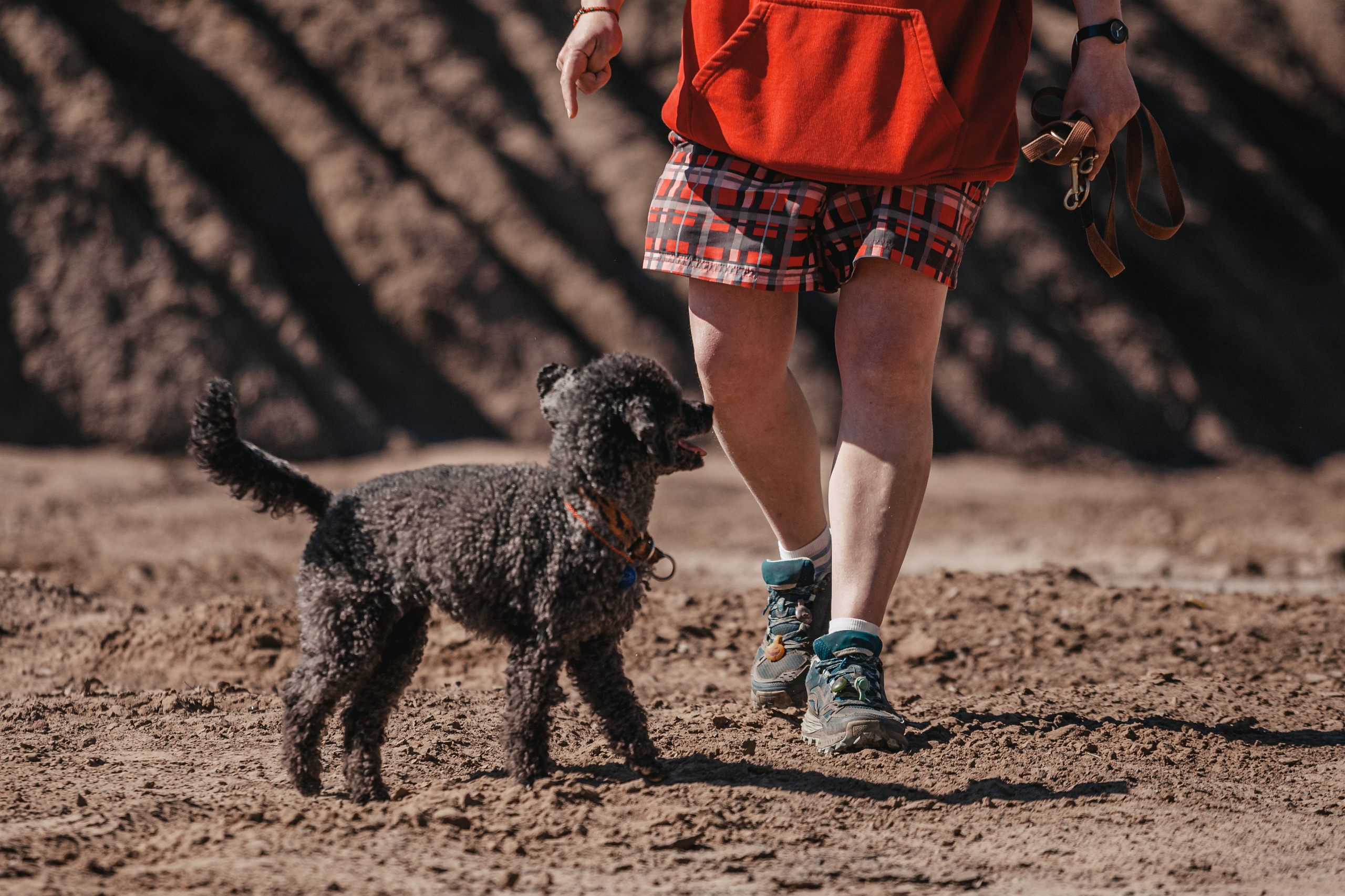 Кондуки. Фотограф-анималист Татьяна Степанова