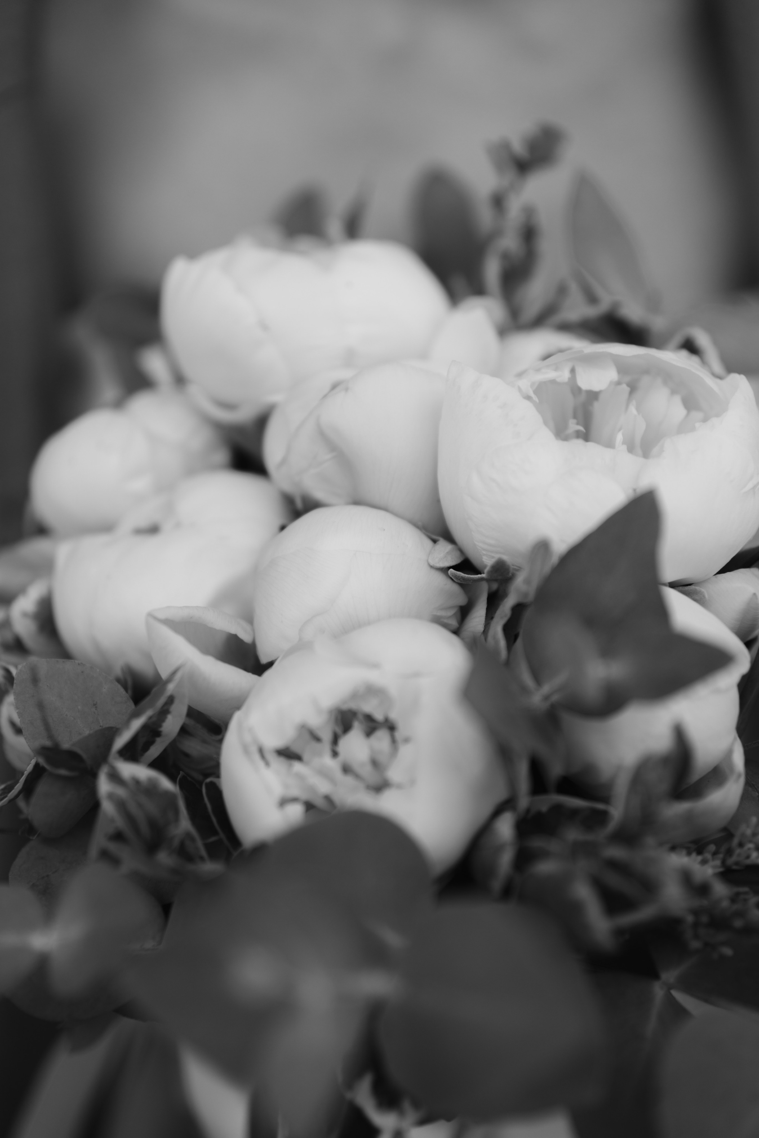 О & С Усадьба Муравьёвых — Апостолов. Женский и свадебный фотограф Москва Елизавета Перова