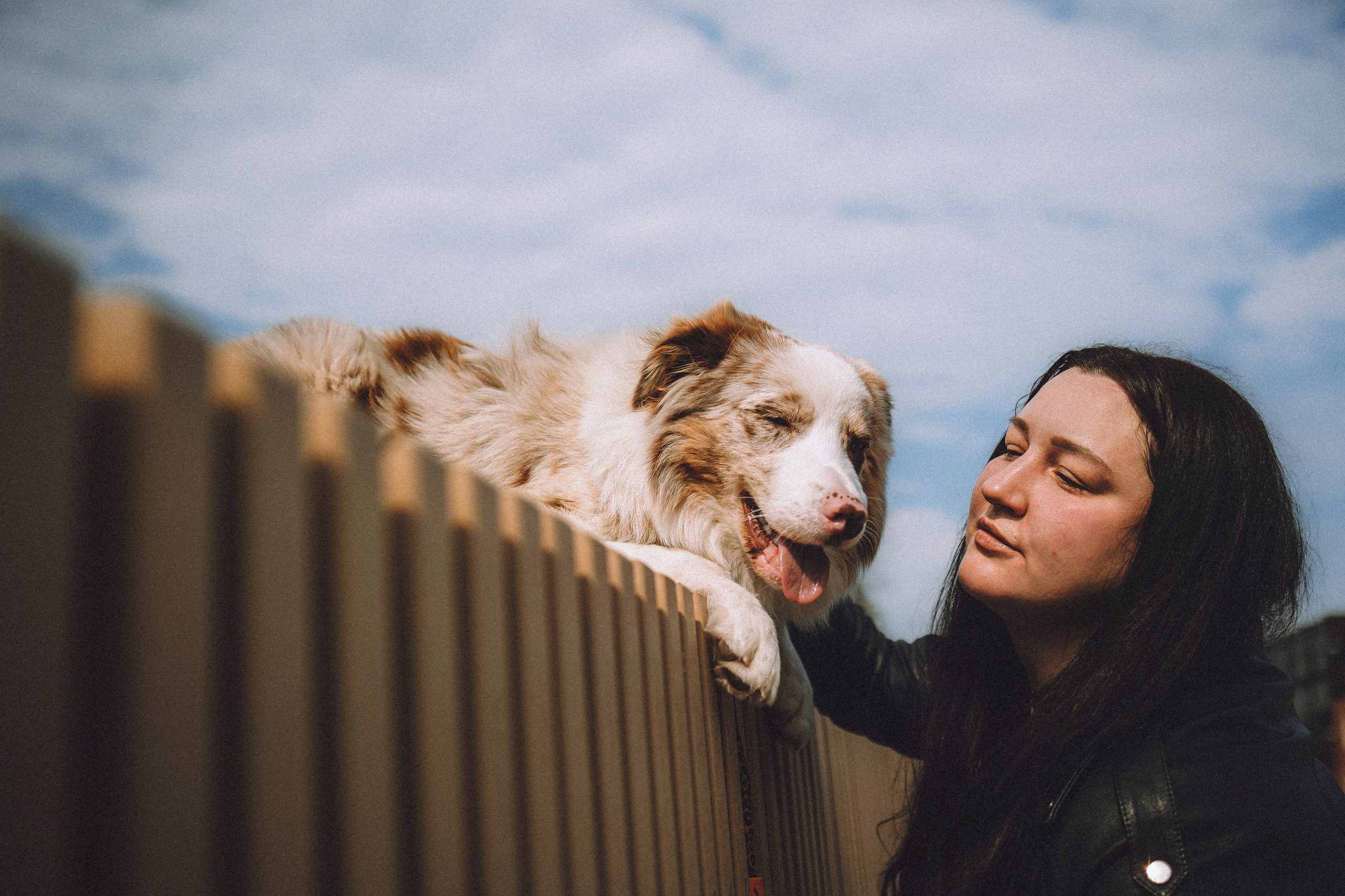 Один и его семья