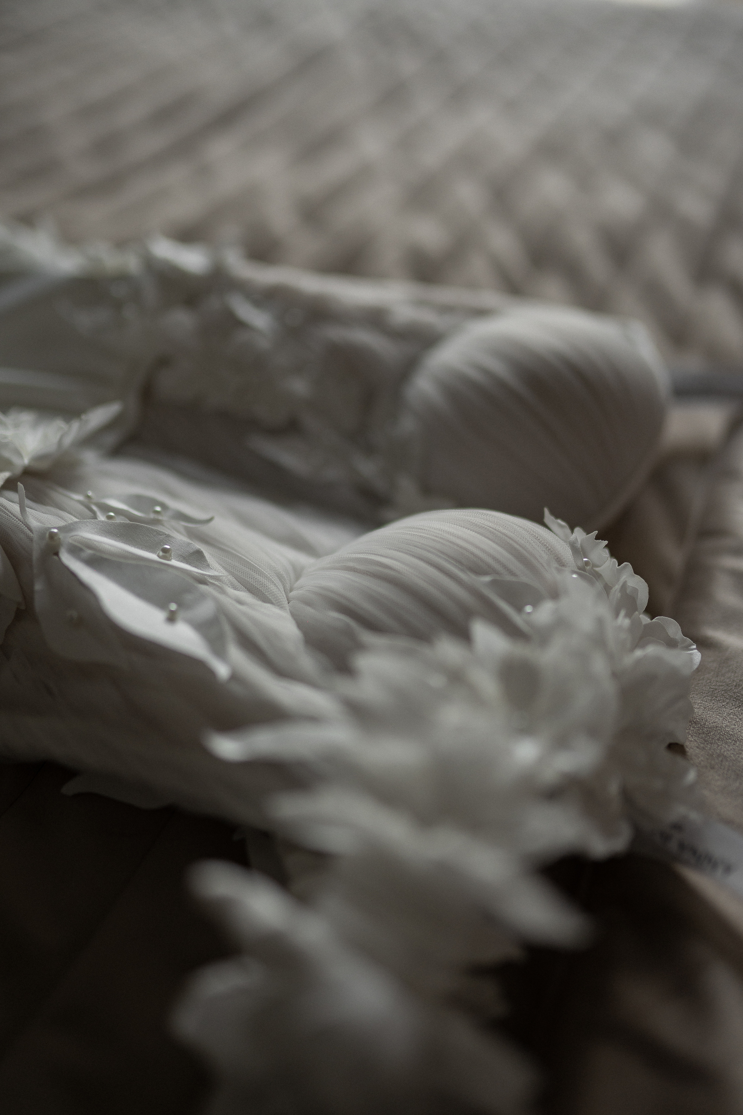 ДМИТРИЙ И ЕЛЕНА. Свадебные семейные индивидуальные фотоистории