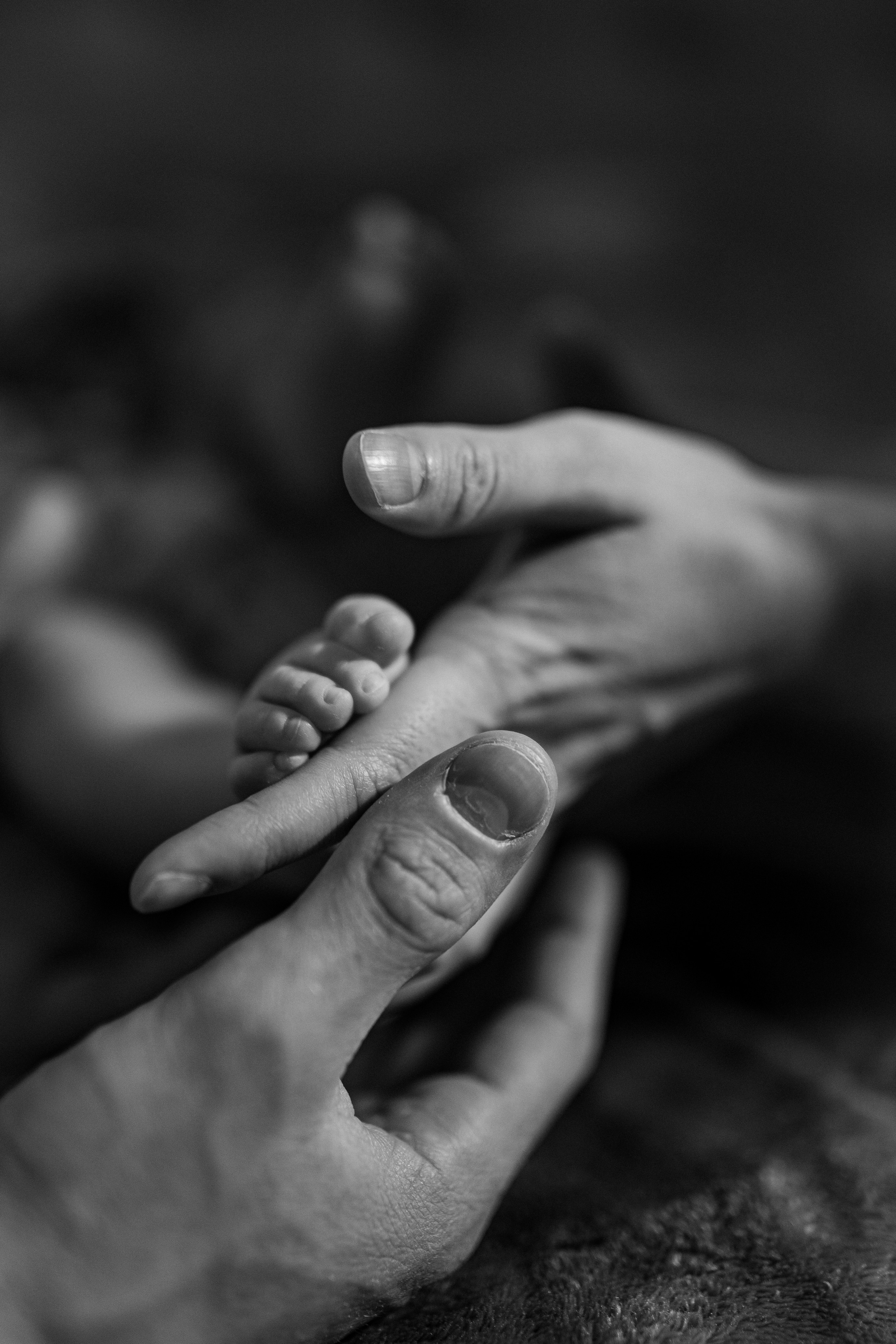 Свадебные семейные индивидуальные фотоистории