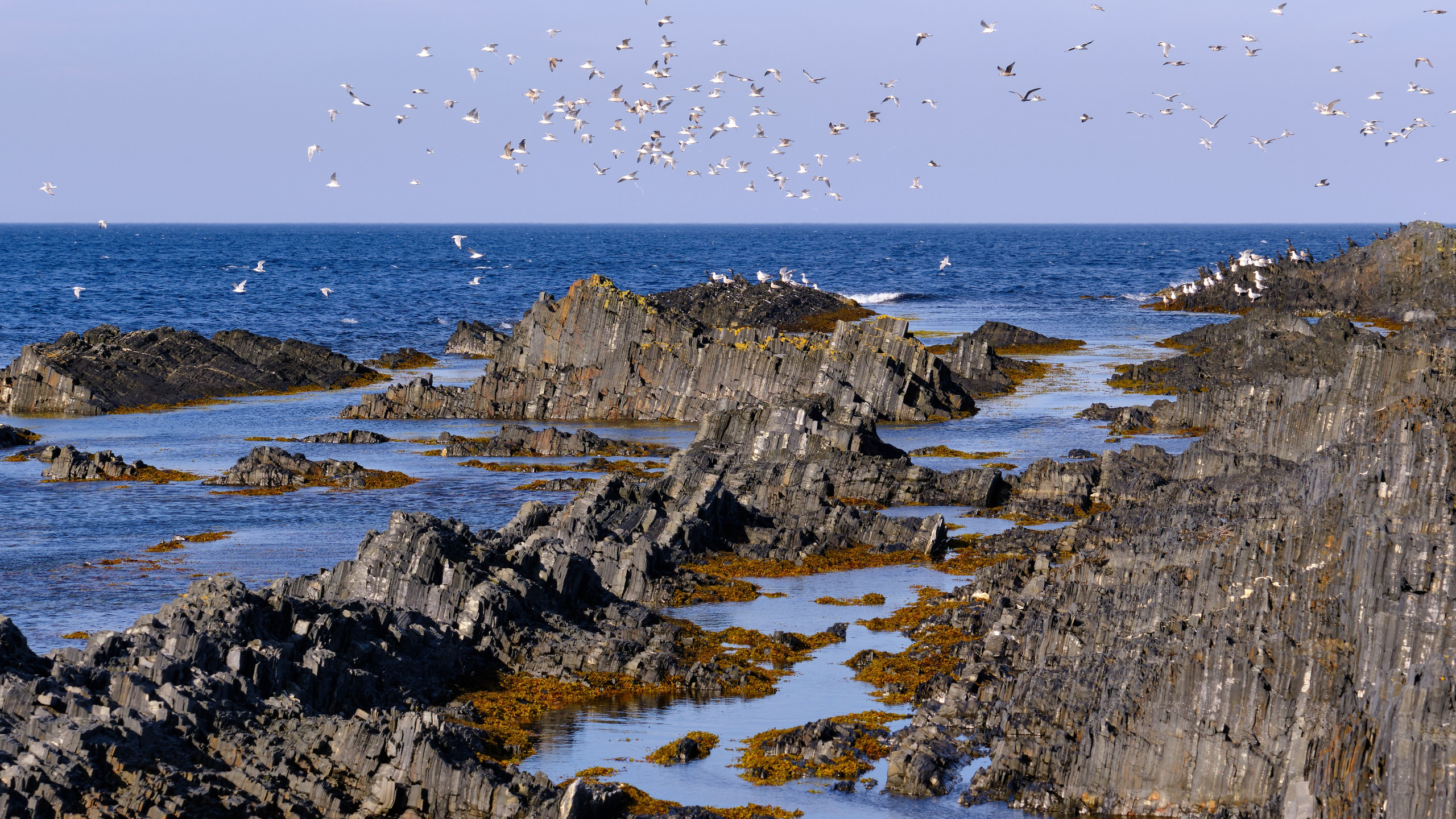Баренцево море. Пейзажи Крайнего Севера. Баренцево море, Рыбачий, Средний, Немецкий