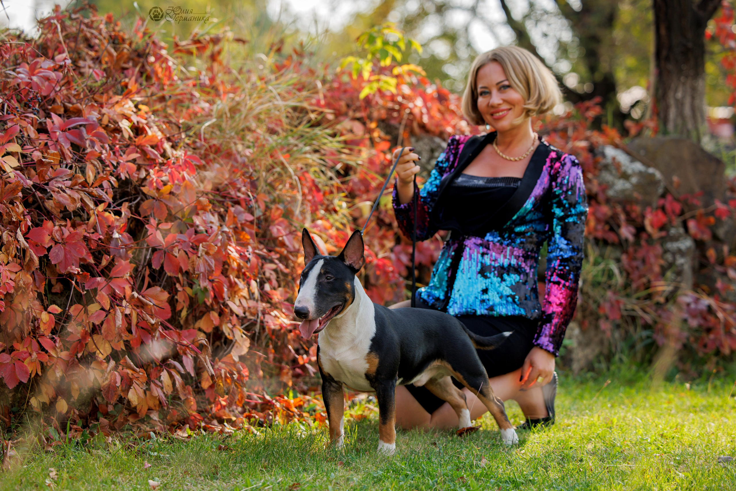 Армения,Ереван 3хCACIB 15-17.10.2024. Фотограф-анималист Юлия Германика