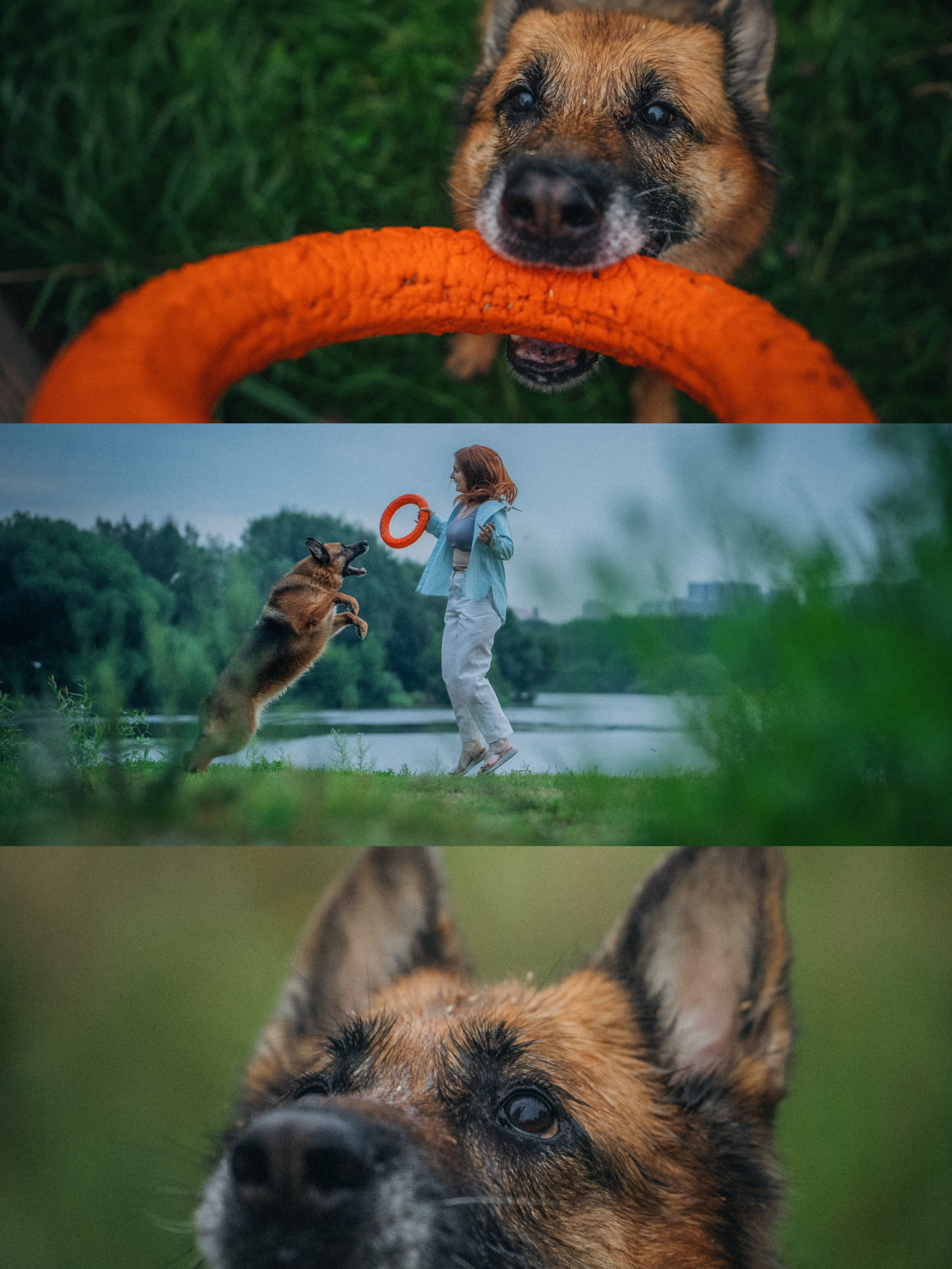 Вика и Фрея. Фотограф анималист в Москве и Санкт-Петербурге Свиридова Анна