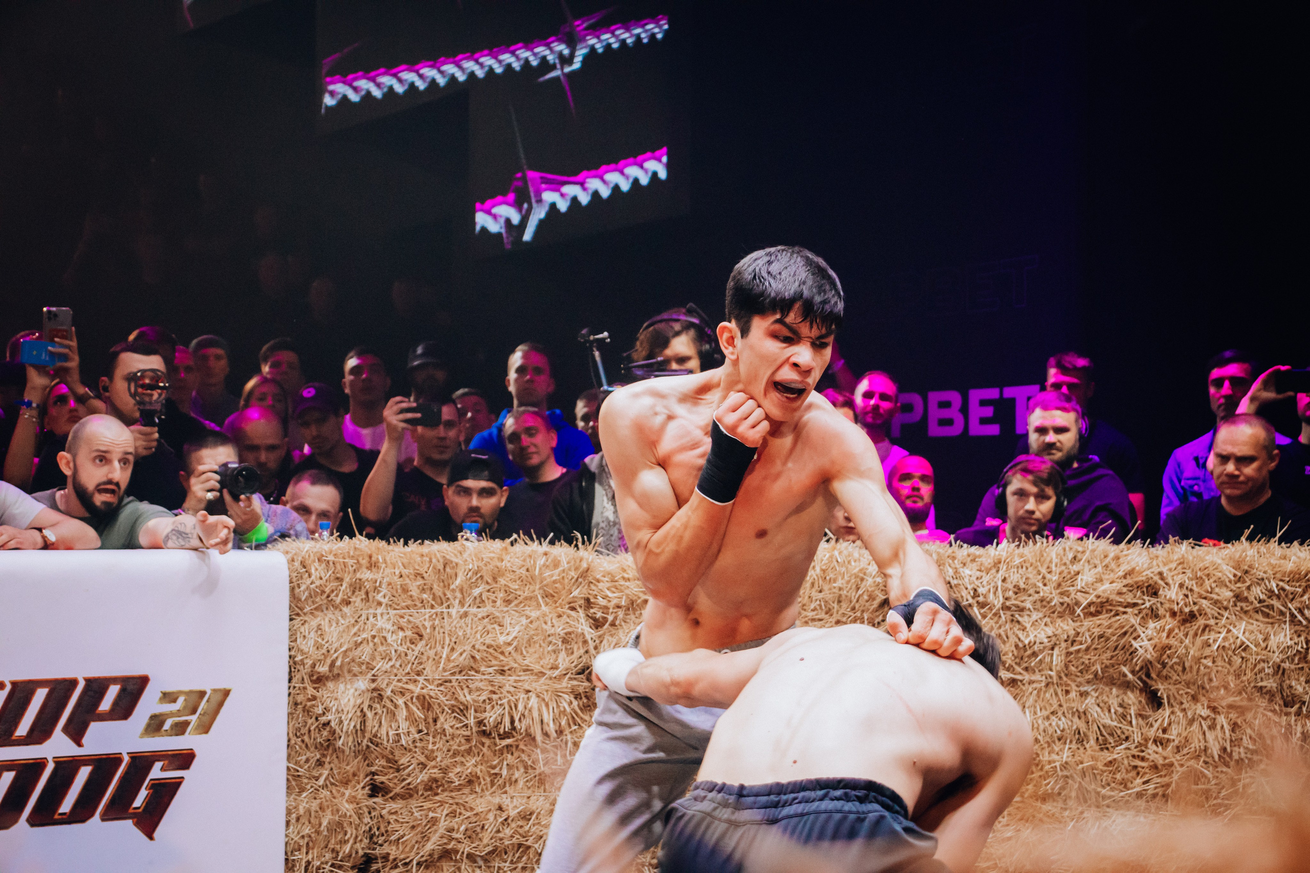 Кулачные бои TopDog. Анастасия Тен