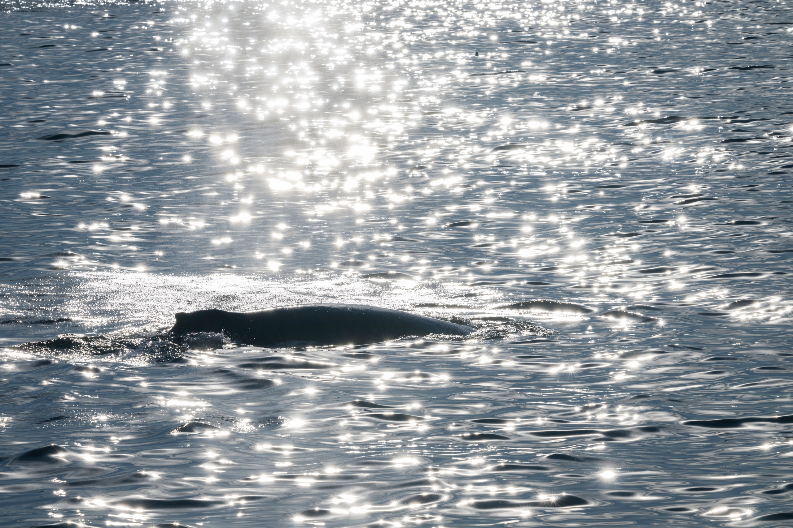 Камчатка. Портретный фотограф в Челябинске Катерина Руди