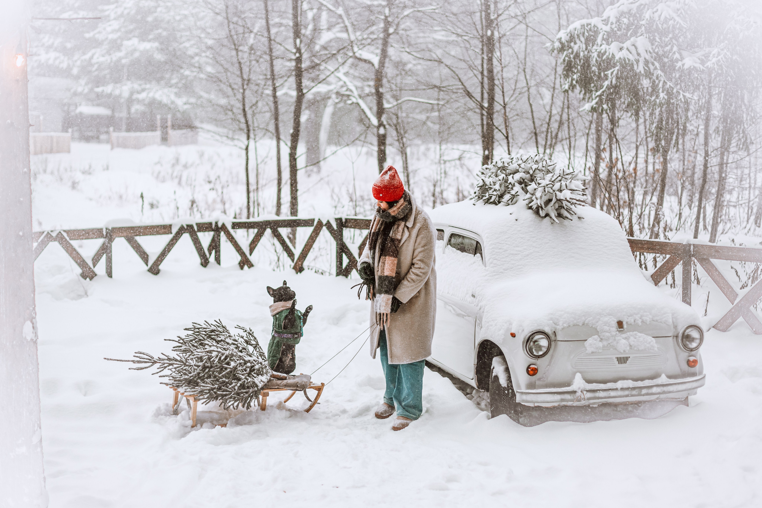 Кантри Хаус. Фотограф-анималист Татьяна Степанова