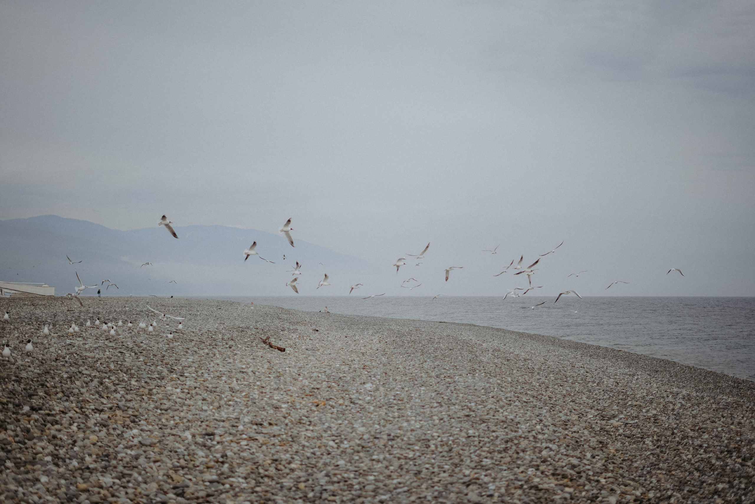 Лилия и Денис. Холодный март в Сочи. Фотограф в Сочи и Абхазии | Фототуры | September Air