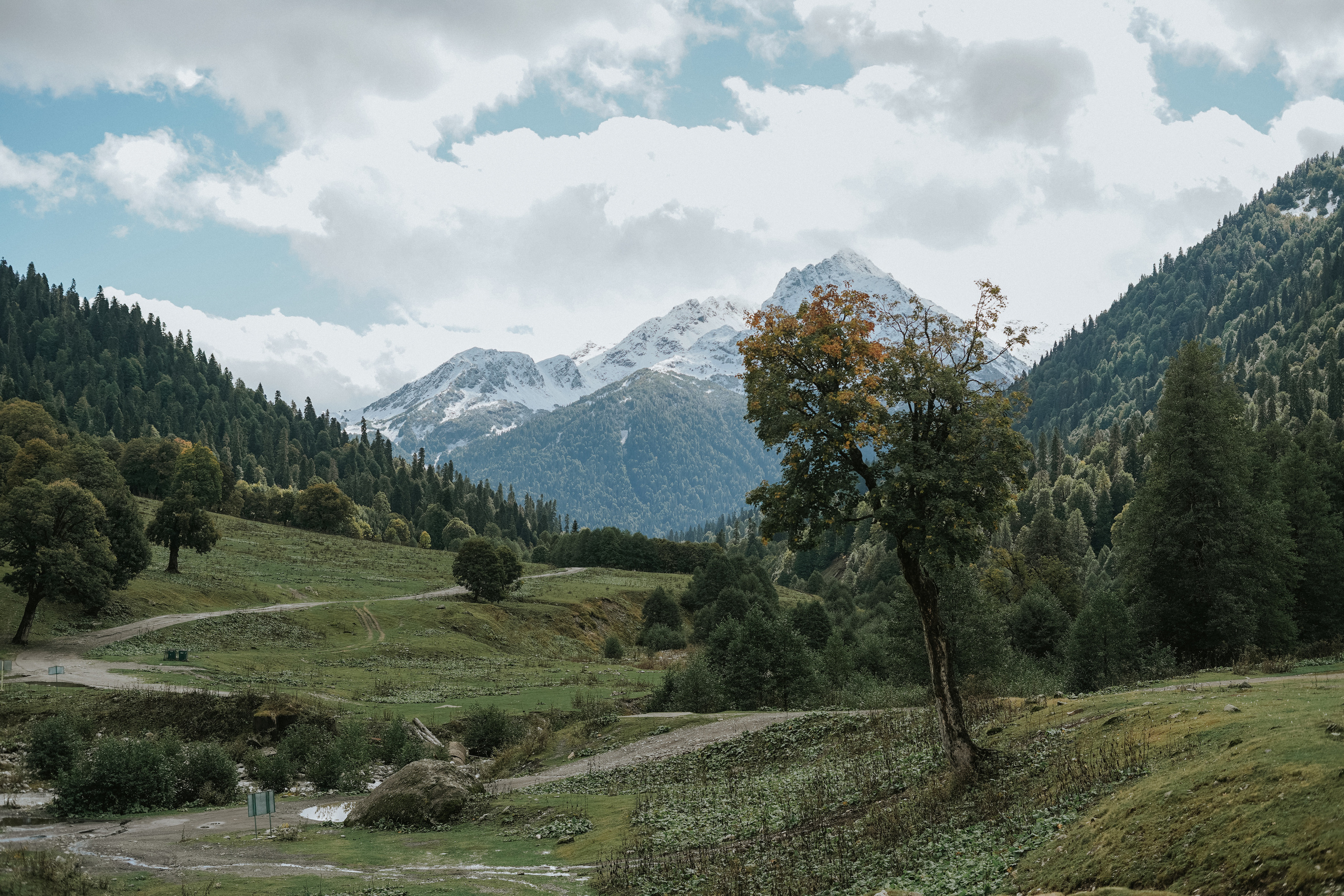 АБХАЗИЯ. ПИКНИК НА АЛЬПИЙСКИХ ЛУГАХ. Фотограф в Сочи и Абхазии | Фототуры | September Air