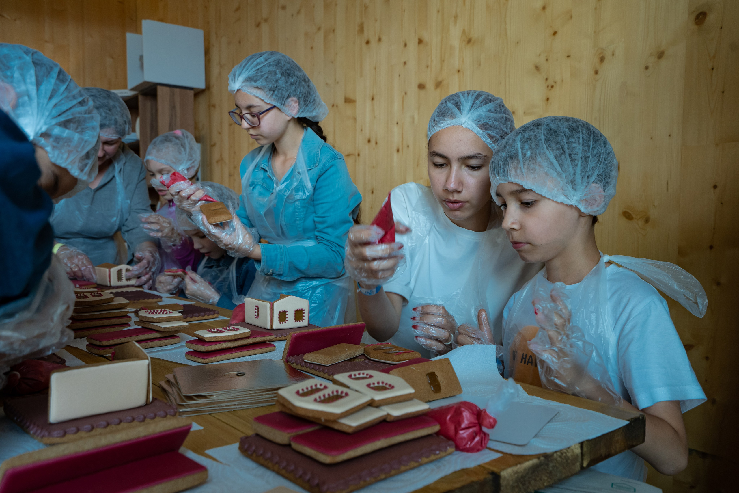 Выставка коттеджных домов Open Village. Фото / Видеосъемка в Москве