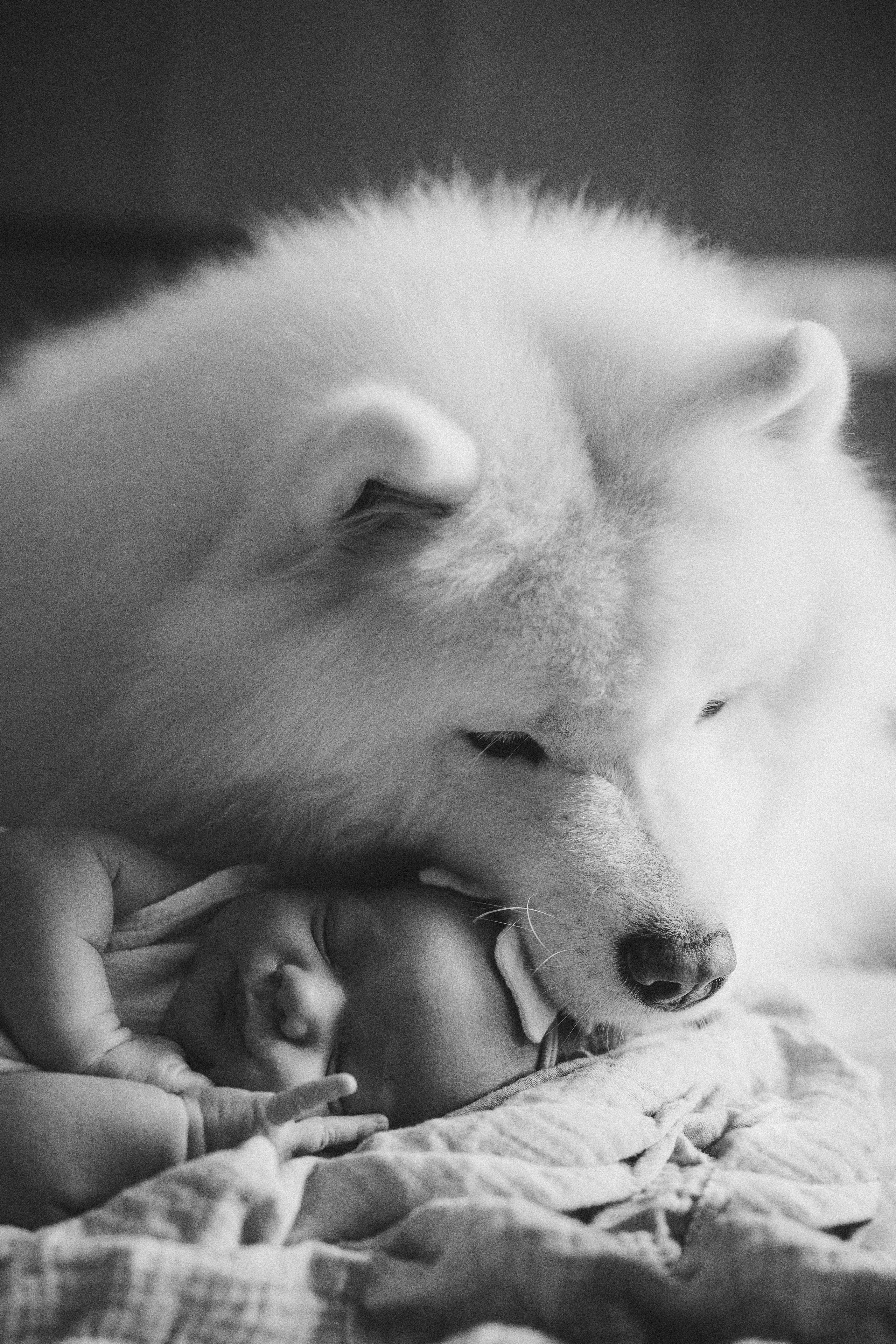 Василиса. Евгения Пелипас