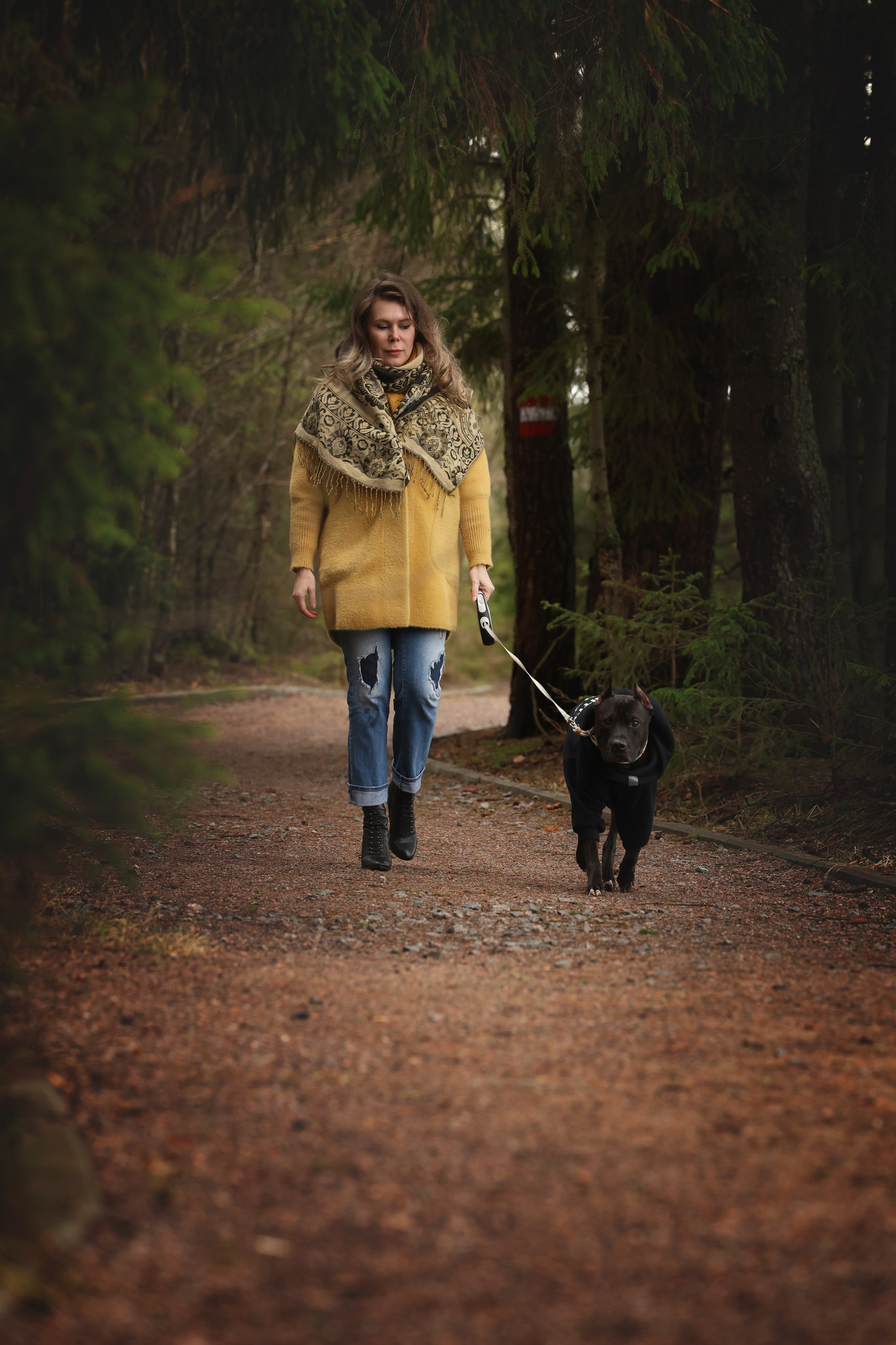 Собаки и люди. Главная