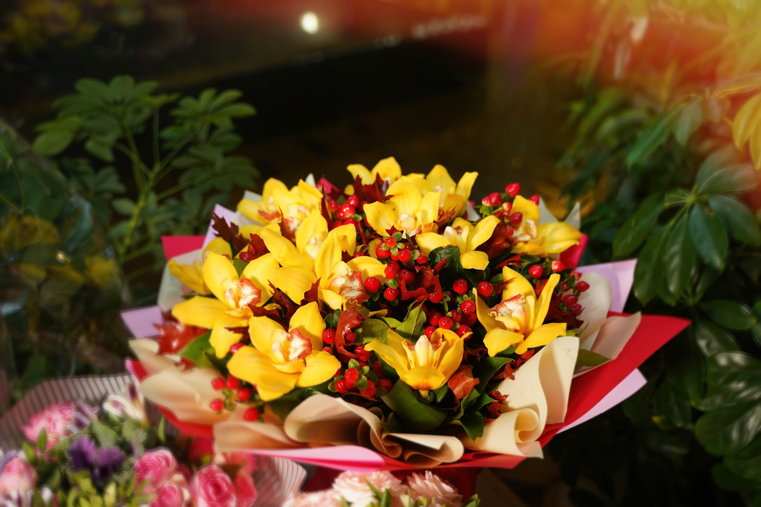 Юлия & Анатолий. Ульяна Палама: Мир через призму фотокамеры