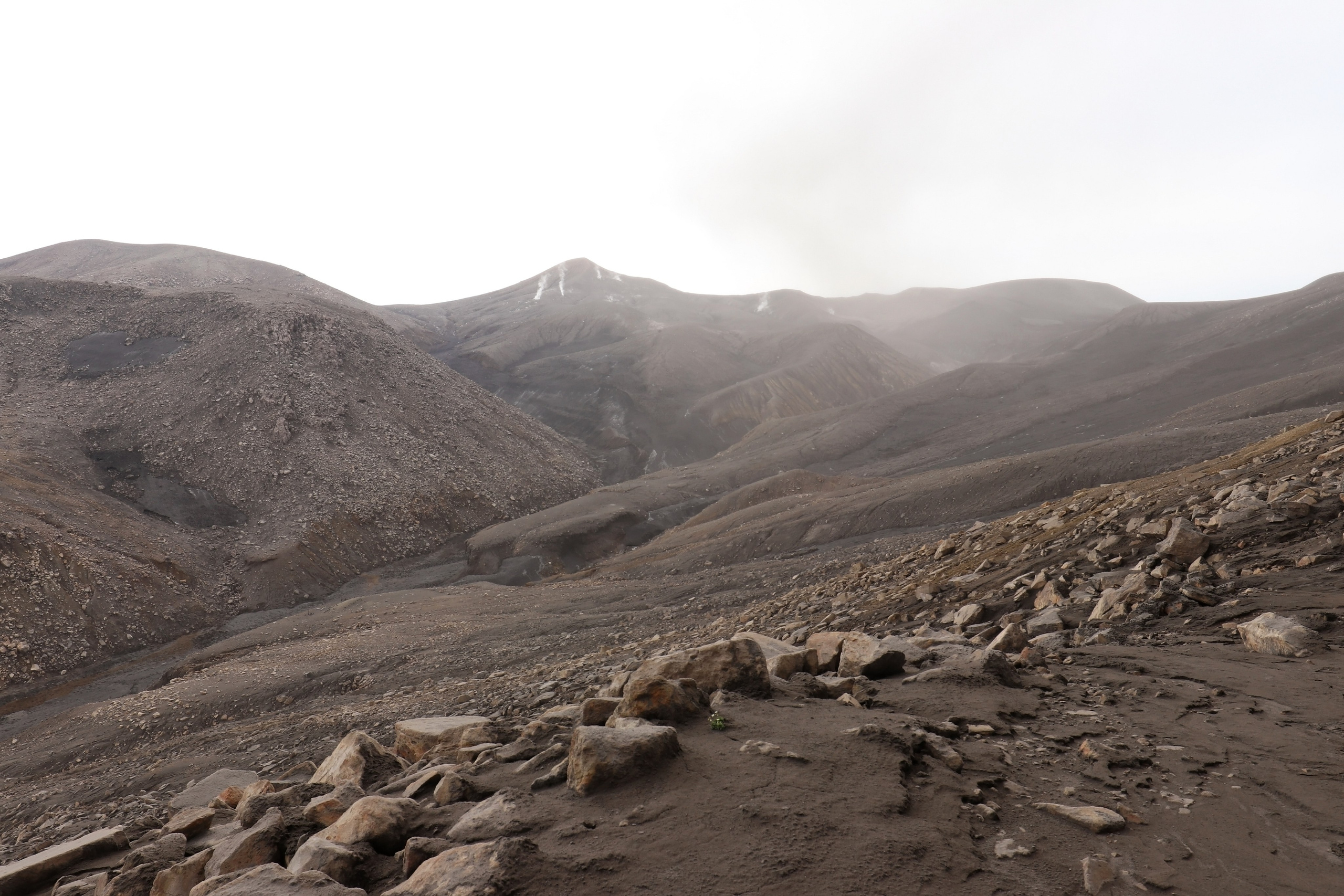 Камчатка и о. Парамушир. Июль 2024. Путешественник-фотограф из Санкт-Петербурга Татьяна Свистулина