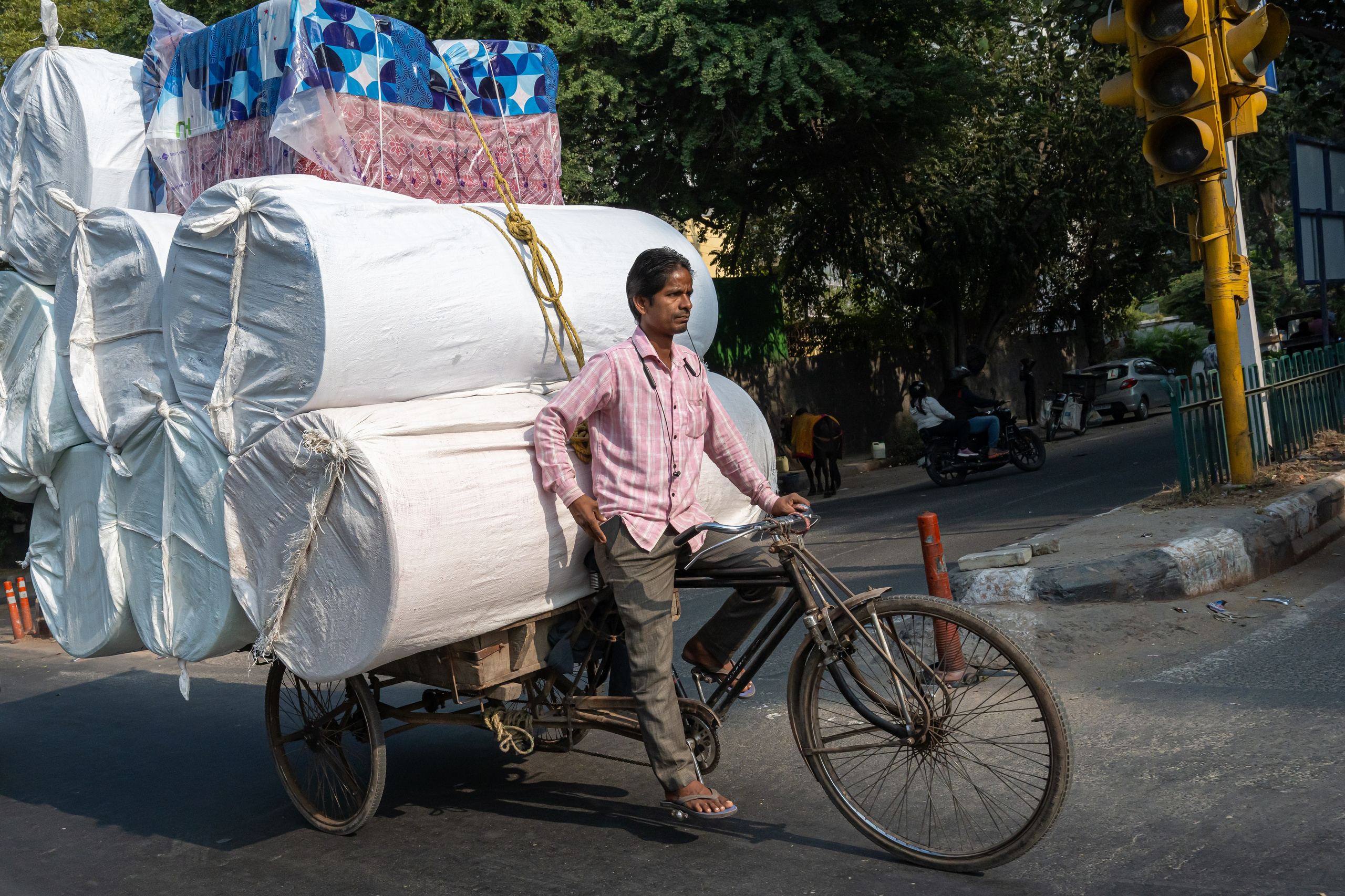 India 2024-2025. Dimitri Bakhtadze photographer