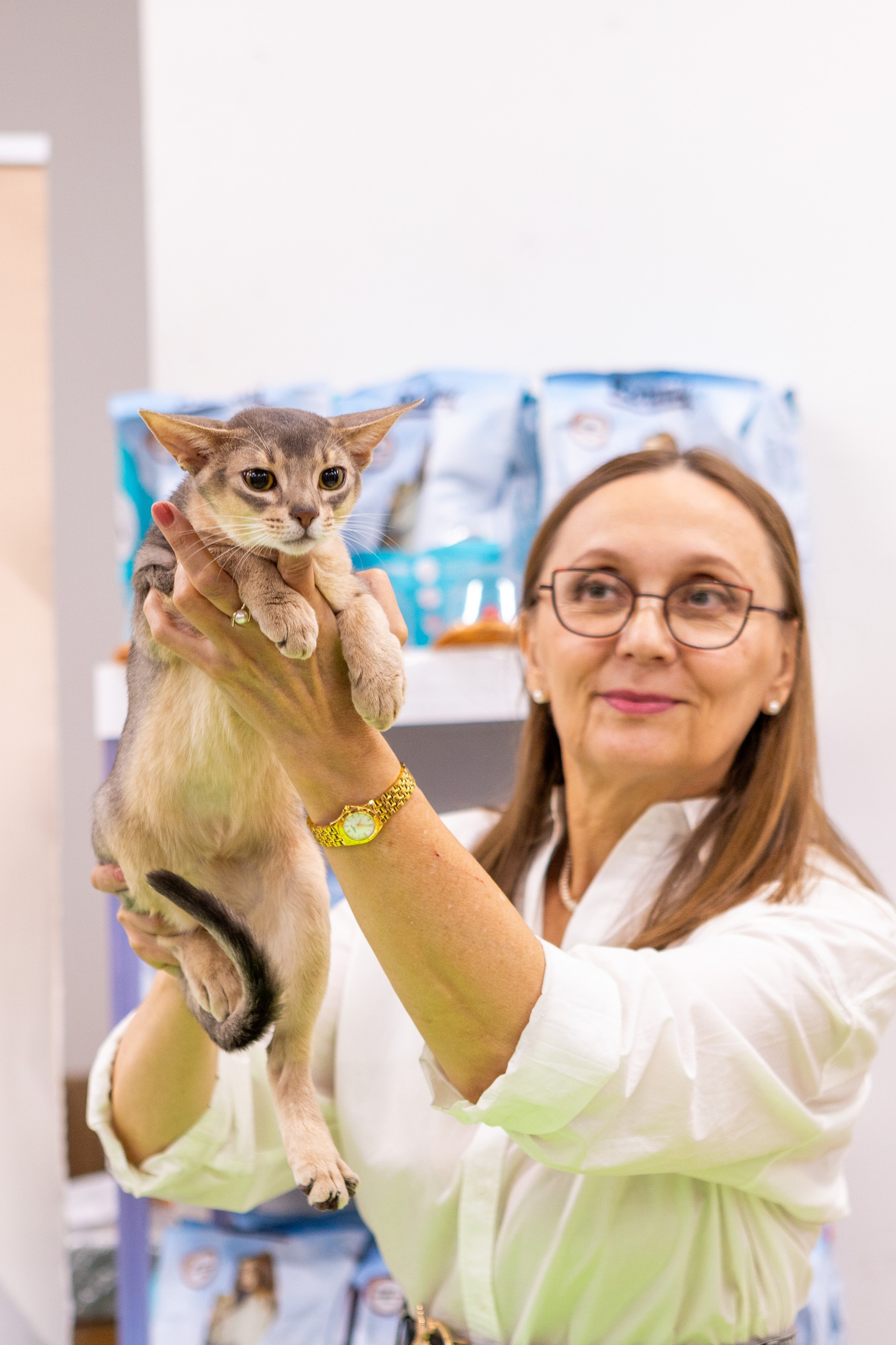 Кошки. Фотограф Яна Матвеева в Ижевске