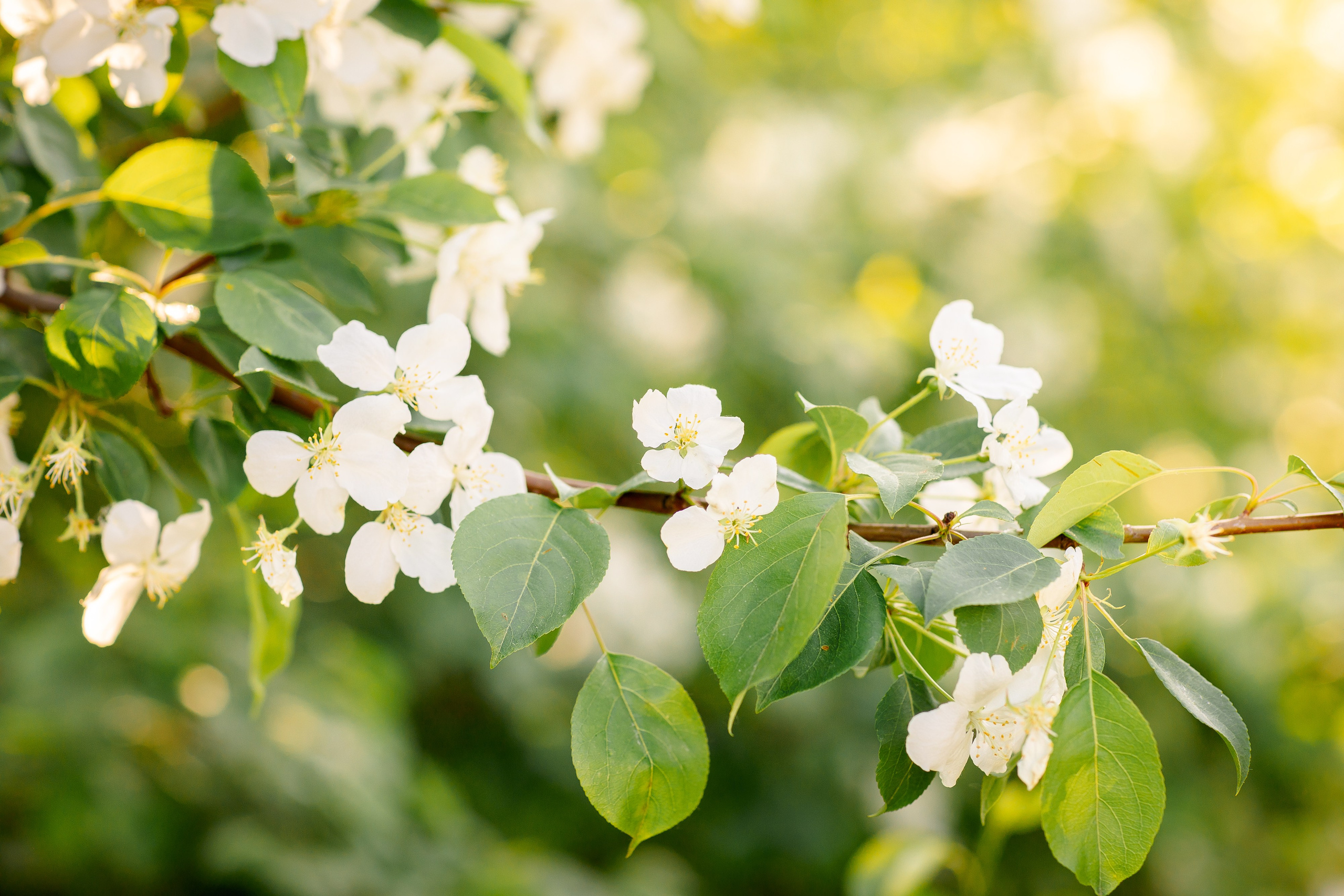 Love story. Фотограф Наталья Изюмова