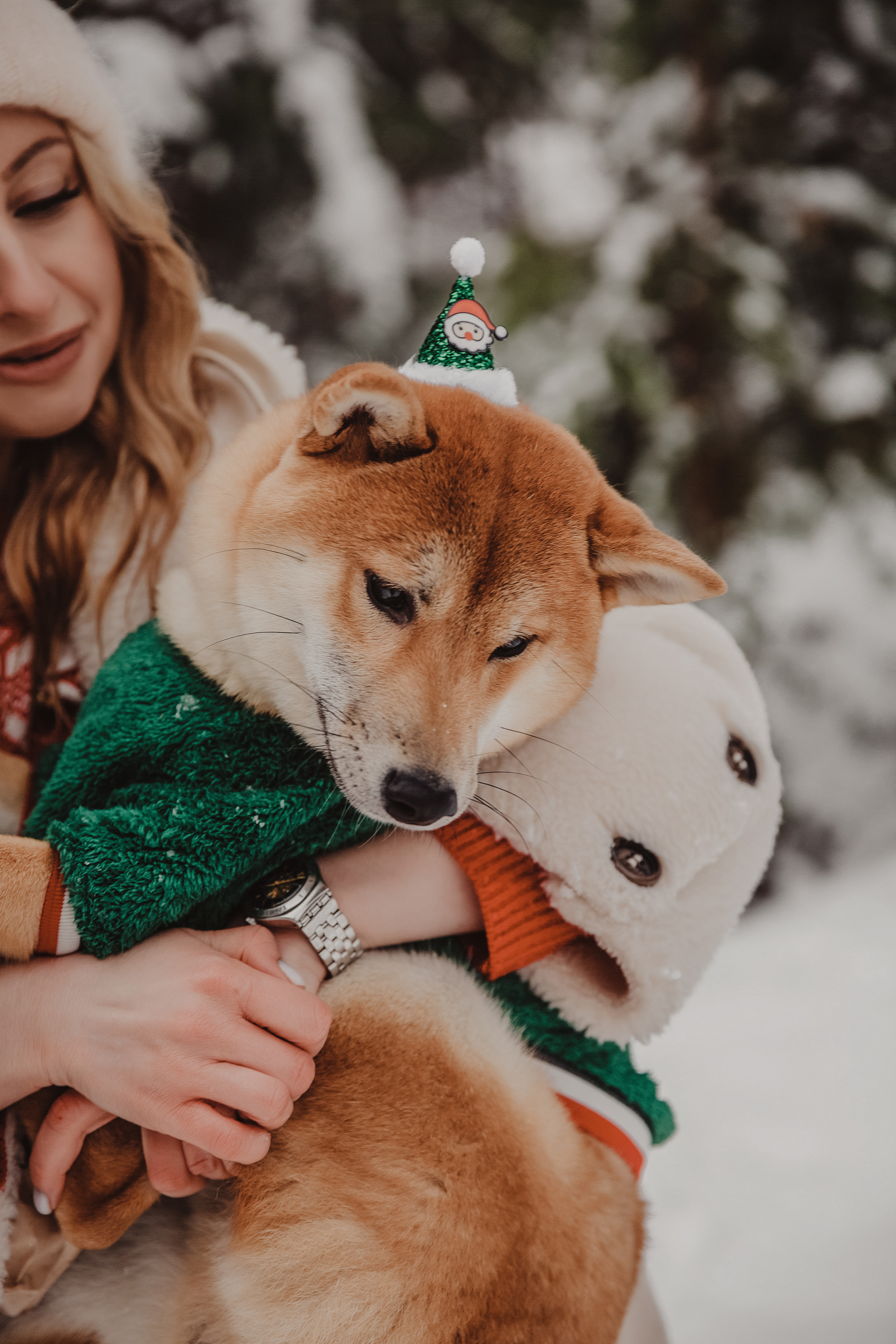 Катя и Симба. Персональный, семейный и портретный фотограф в Воронеже Майя Яхонтова
