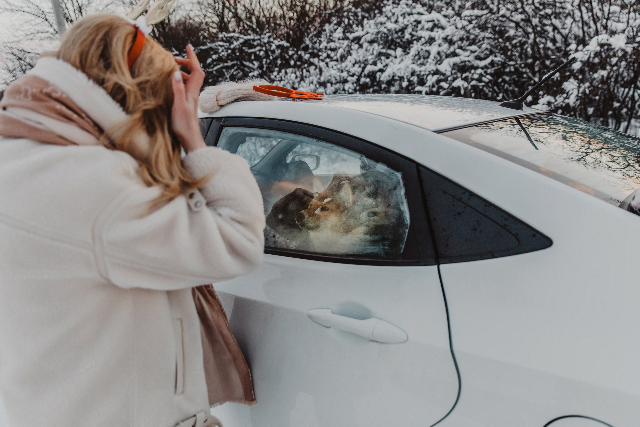 Катя и Симба. Персональный, семейный и портретный фотограф в Воронеже Майя Яхонтова