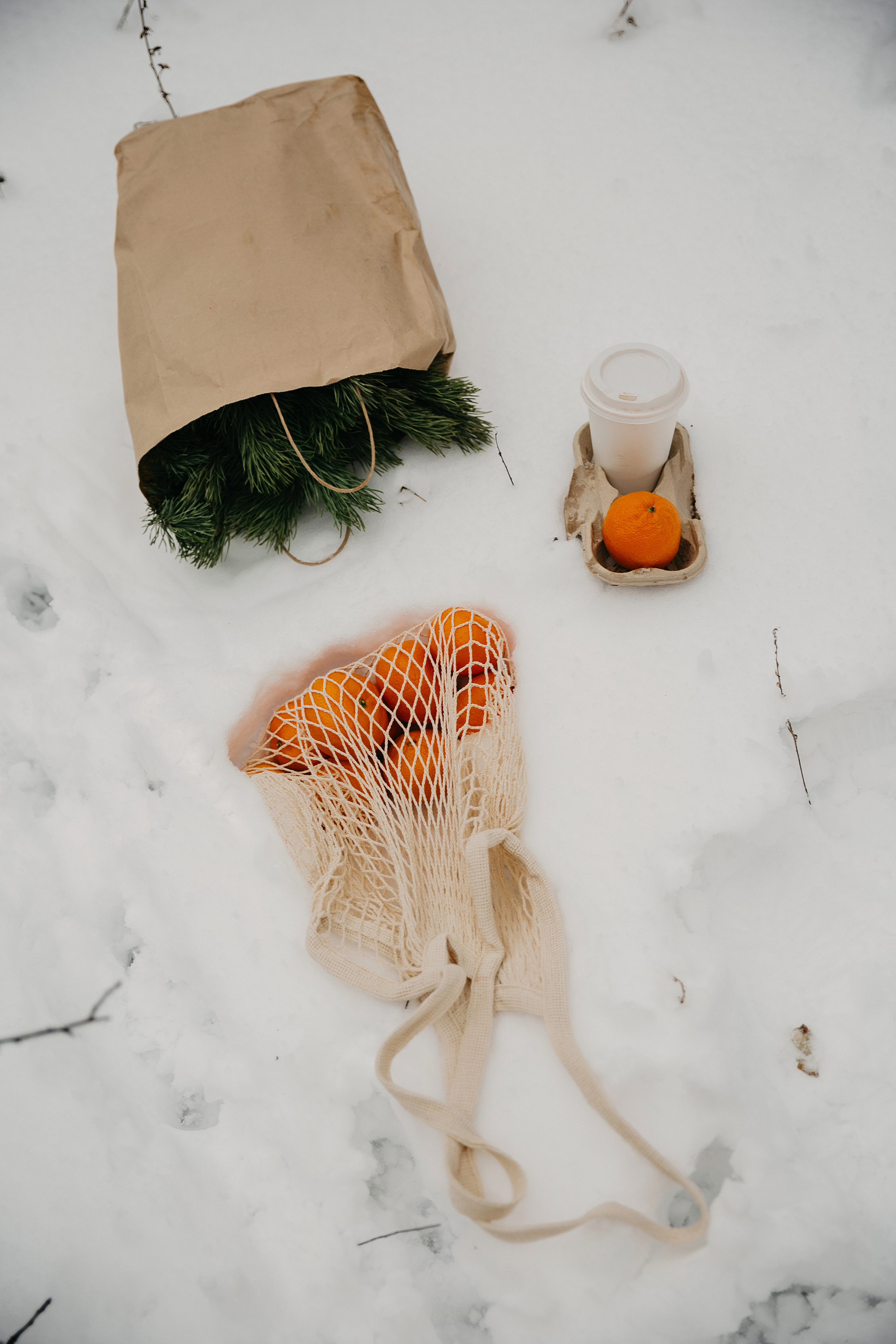 Катя и Симба. Персональный, семейный и портретный фотограф в Воронеже Майя Яхонтова