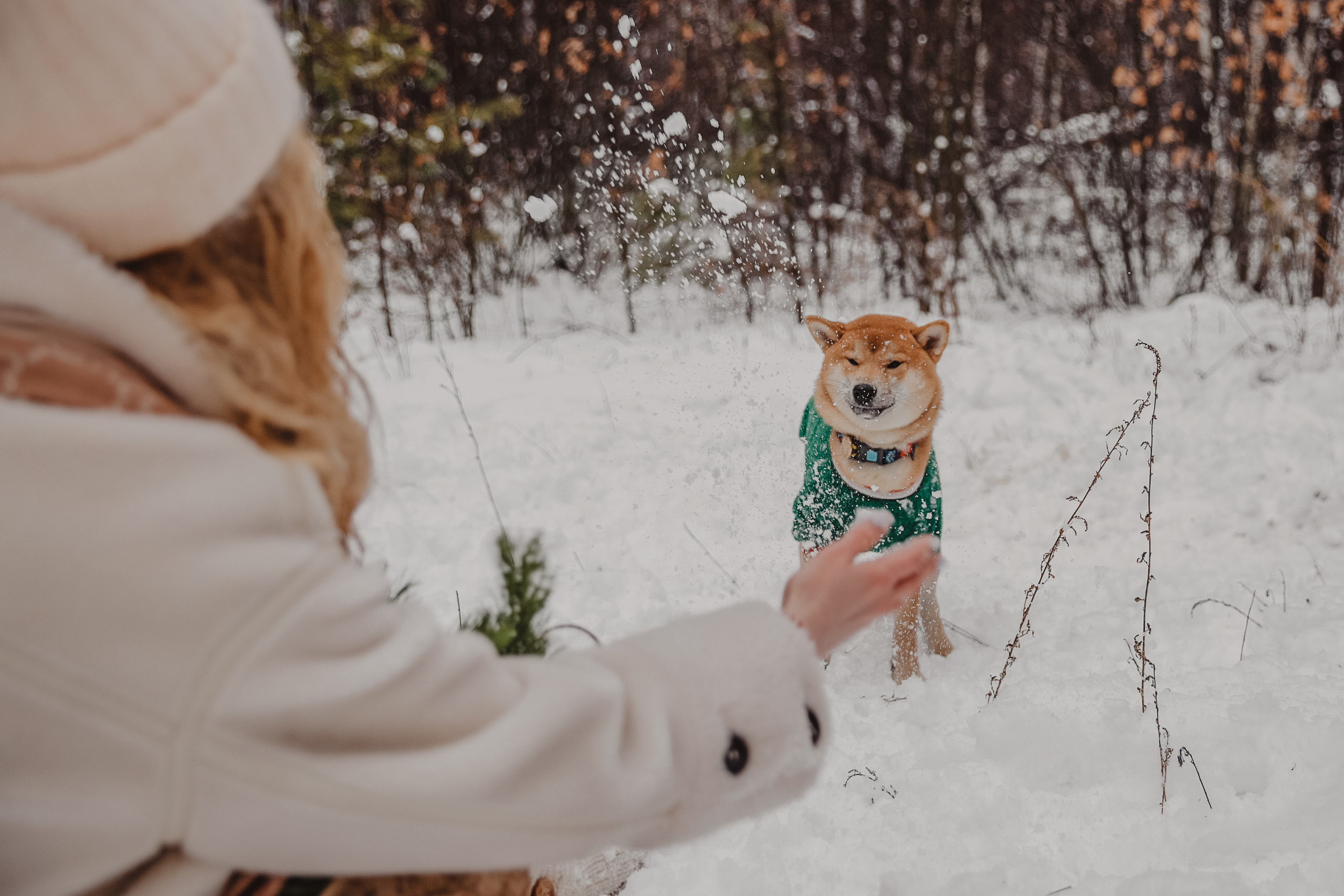Катя и Симба. Персональный, семейный и портретный фотограф в Воронеже Майя Яхонтова