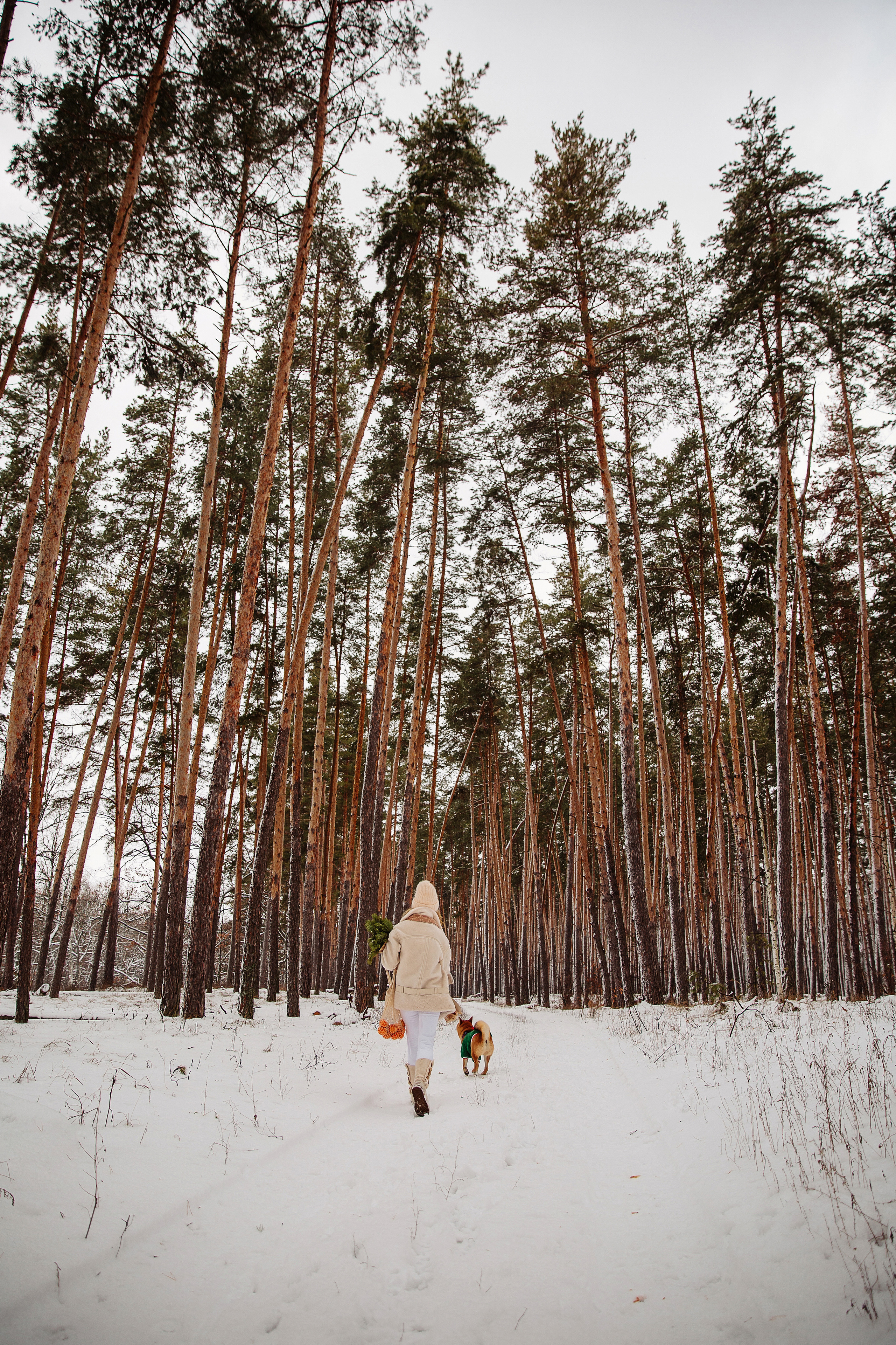 Катя и Симба. Персональный, семейный и портретный фотограф в Воронеже Майя Яхонтова