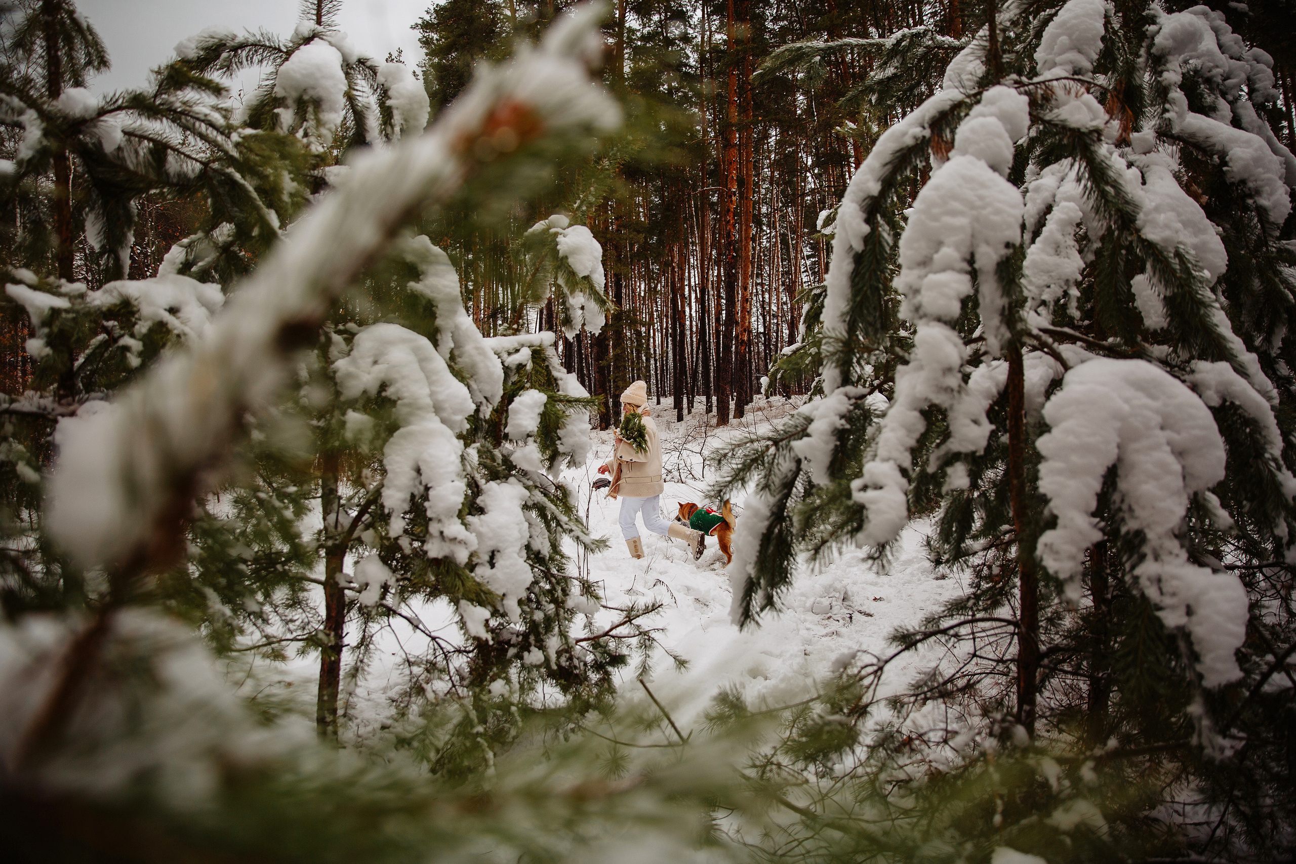 Катя и Симба. Персональный, семейный и портретный фотограф в Воронеже Майя Яхонтова